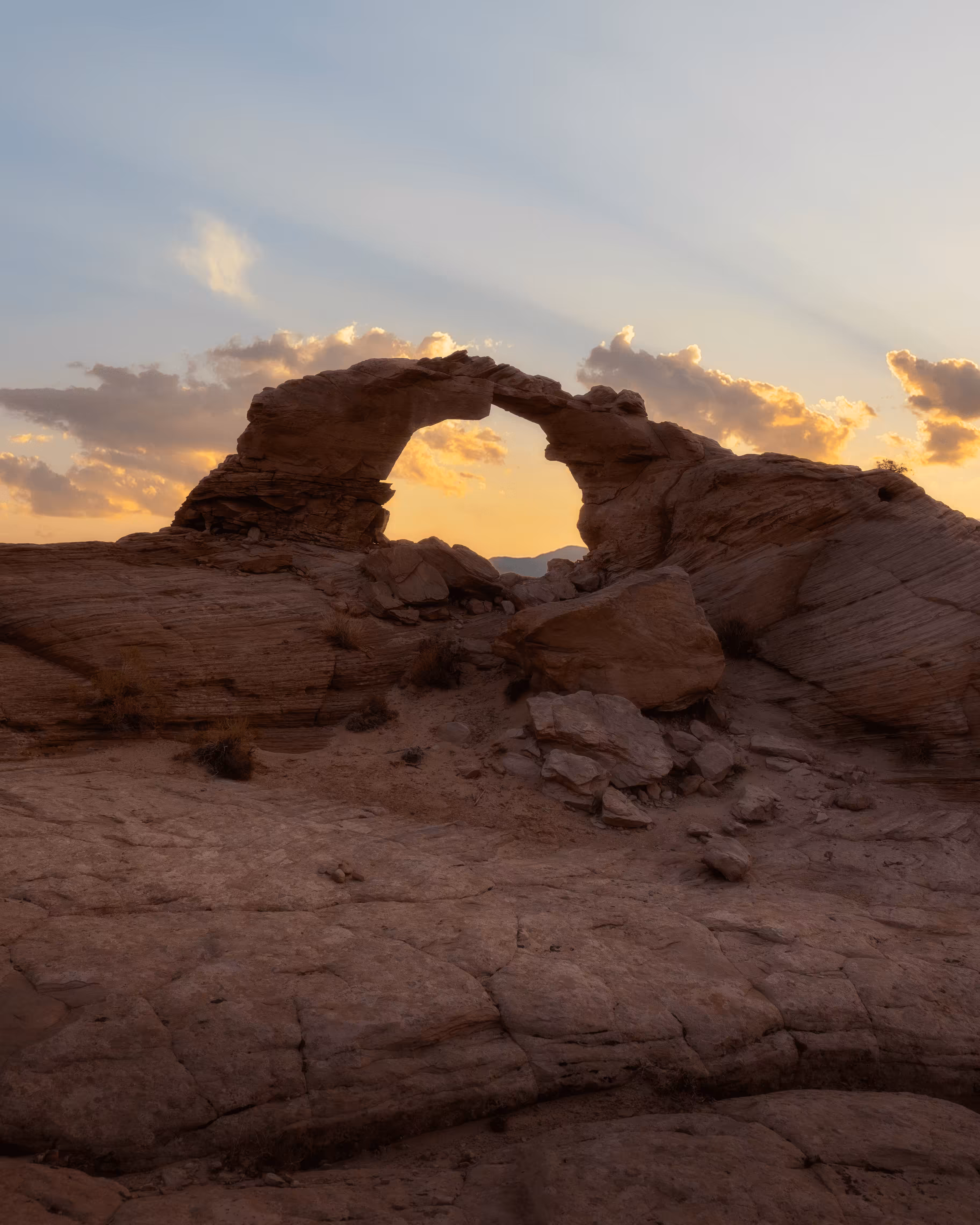 Desert Dreams - 15