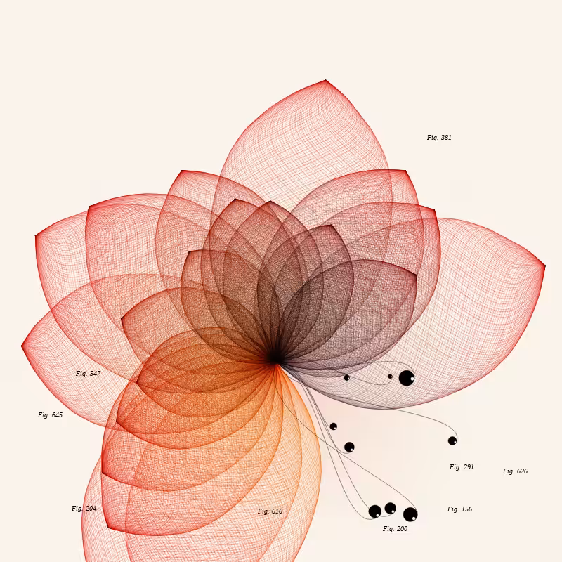 Herbarium #558