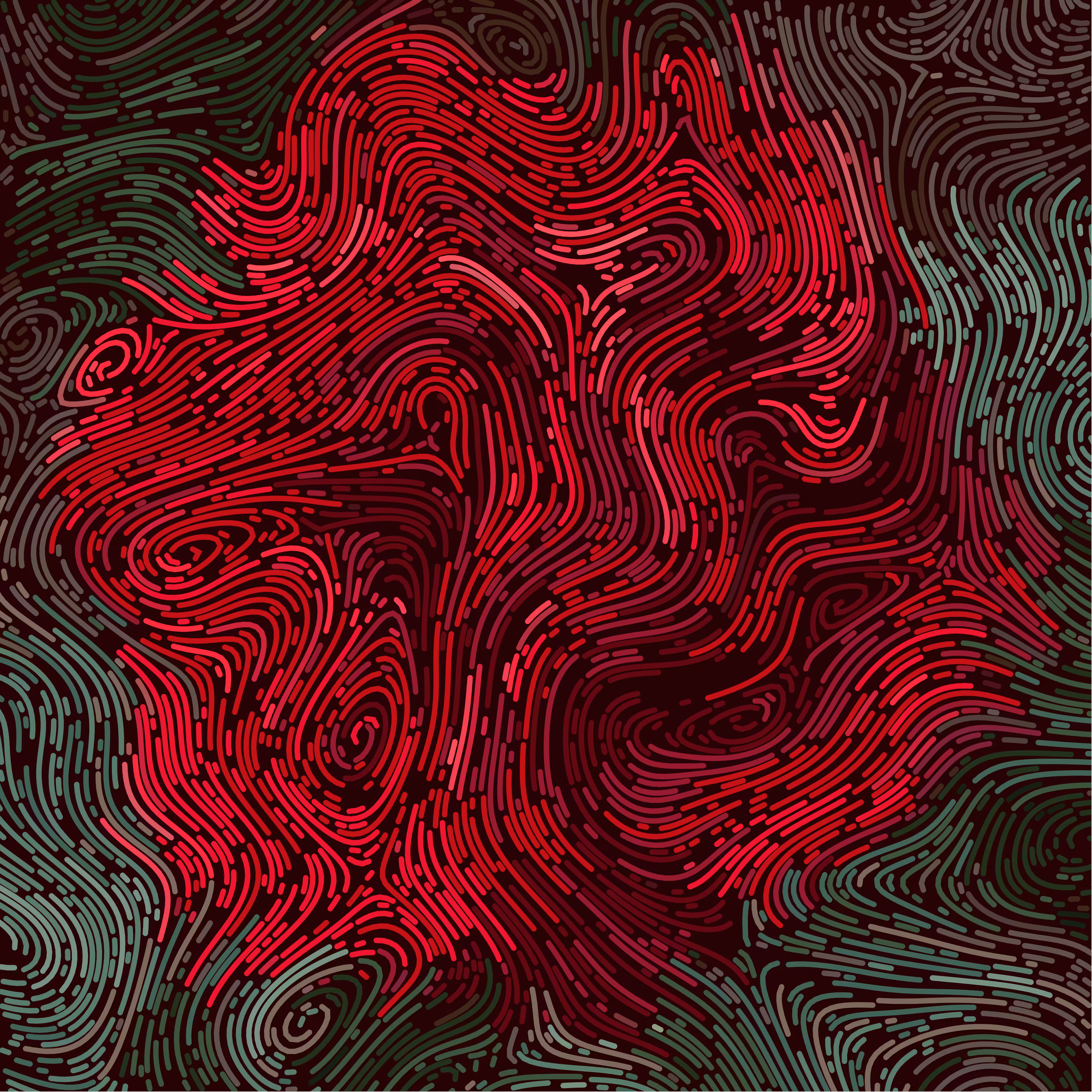 curl.rose