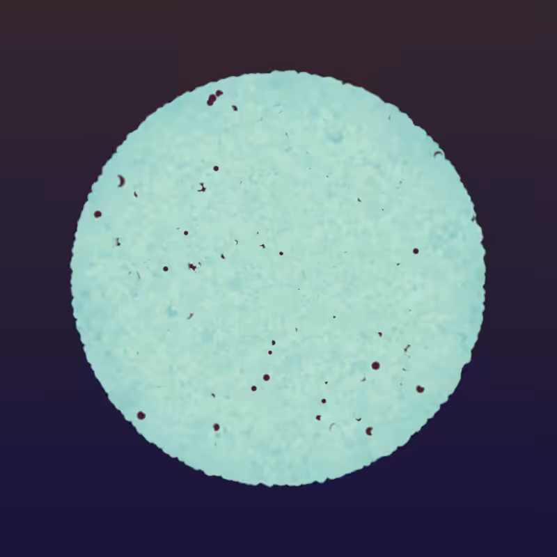 Coalesce #136