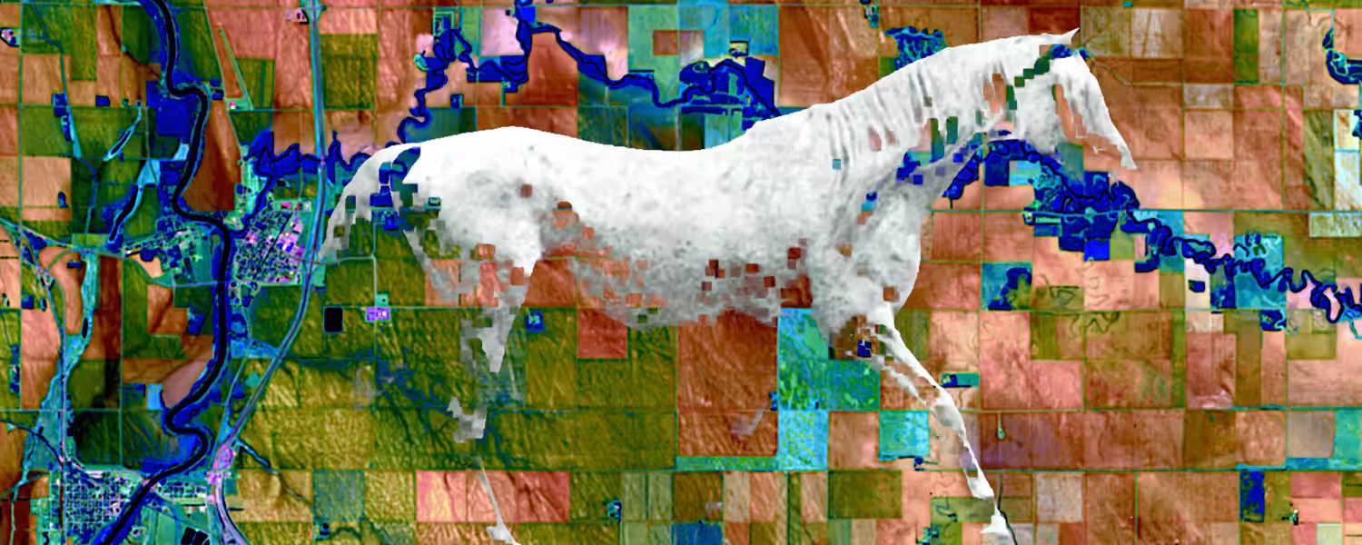 Satellite evening V