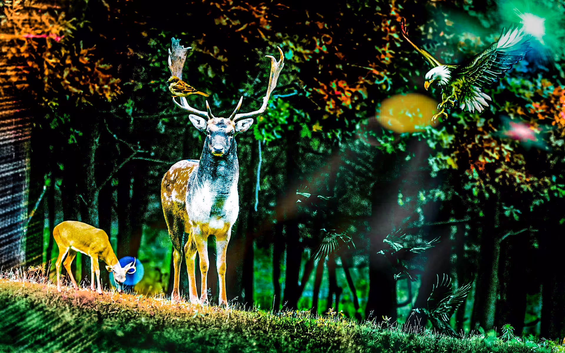 Wild Digital Pets. ROYAL DEER
