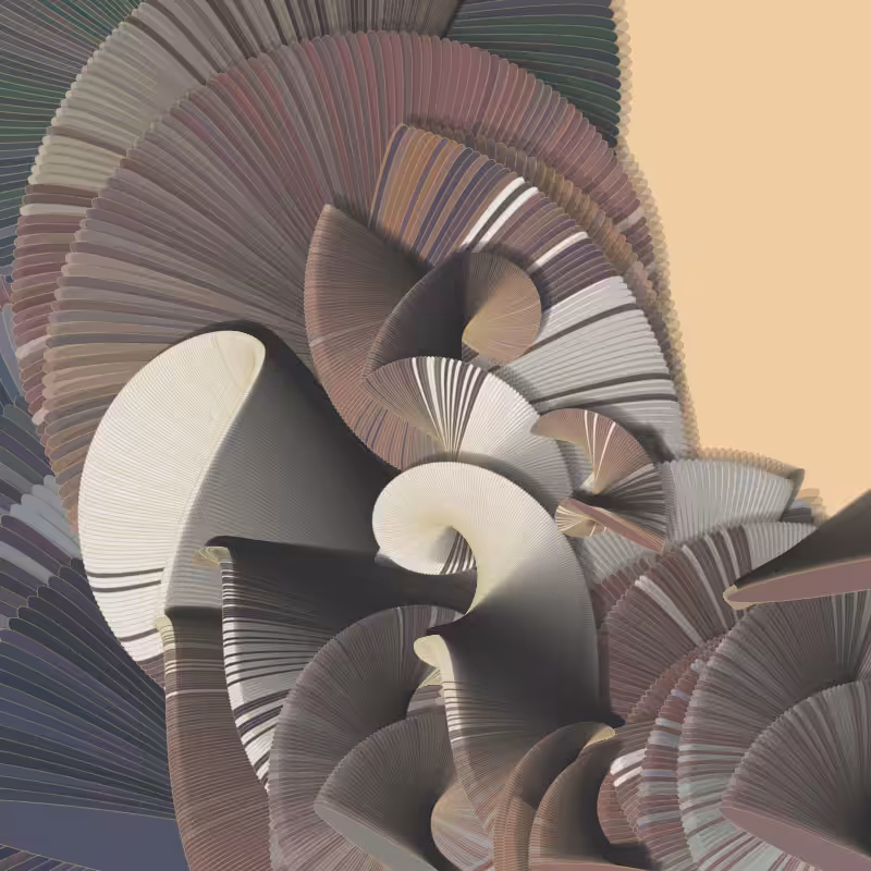 Seashells #75