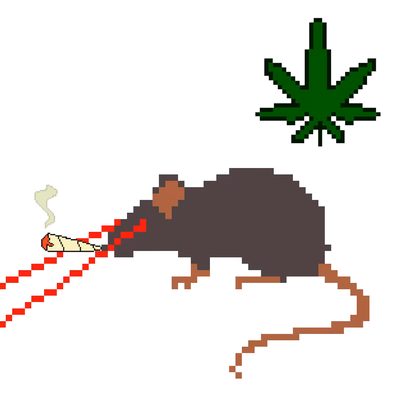The Weed Thief Rat with Laser Eyes!