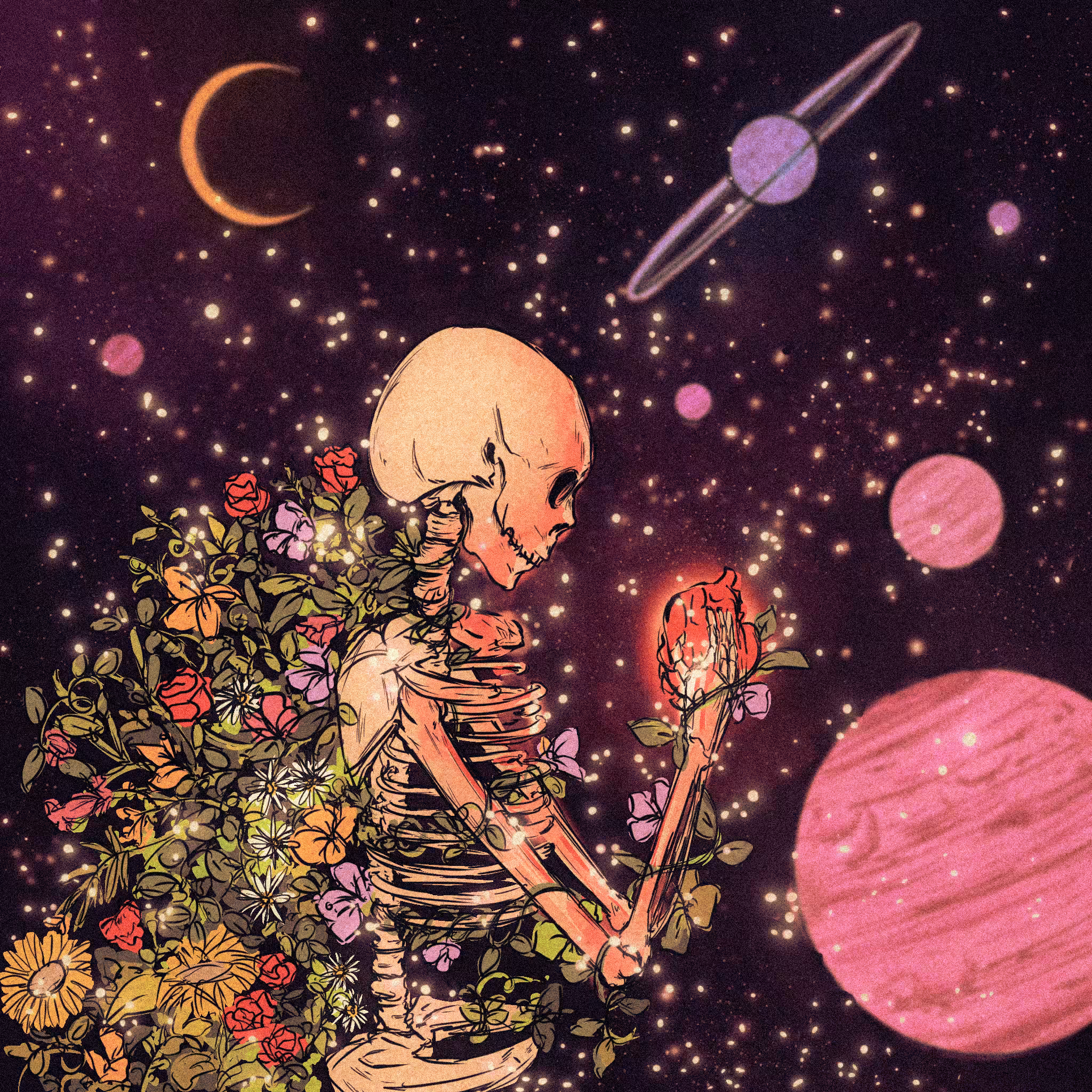 The heart