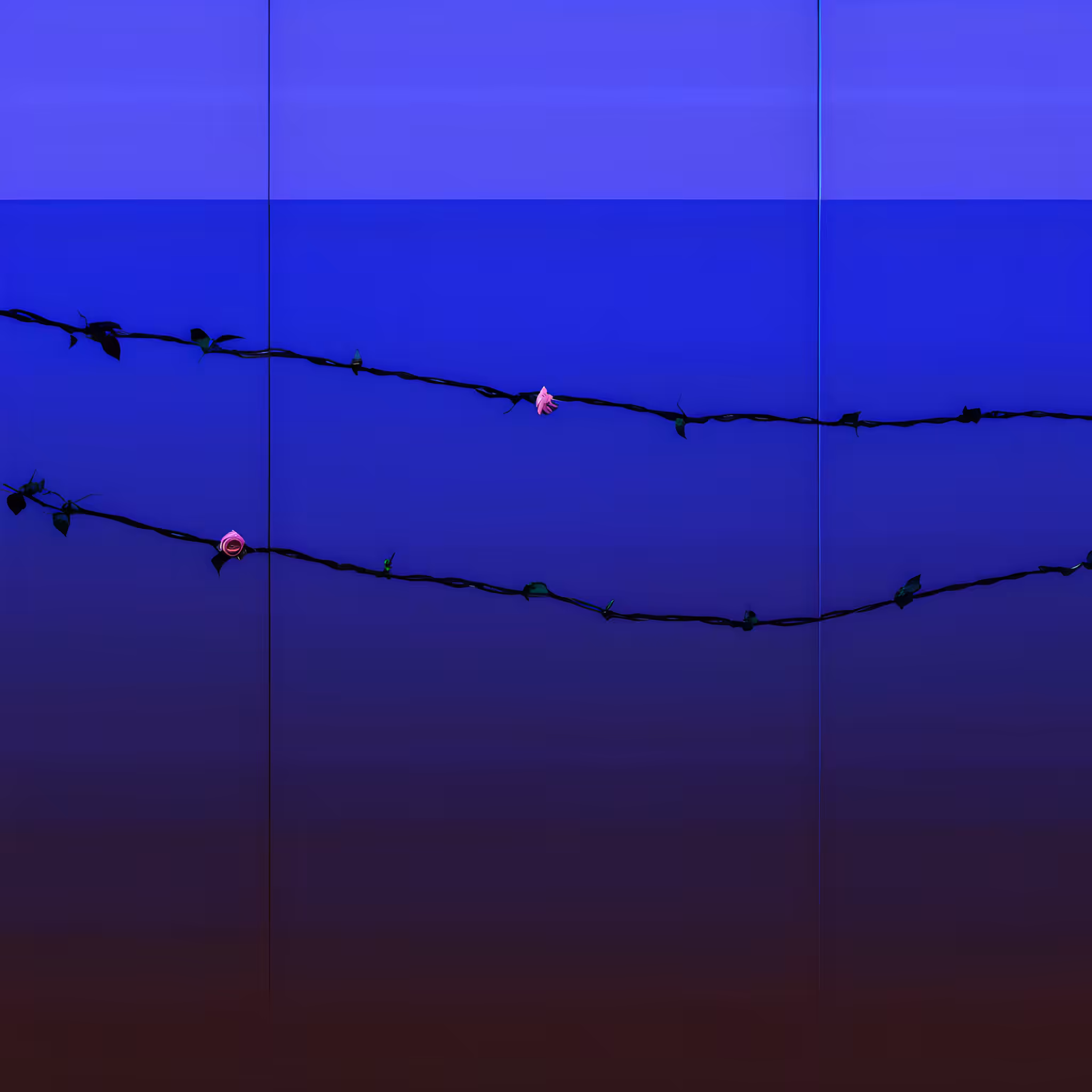 Between the hurricane and the wind #52