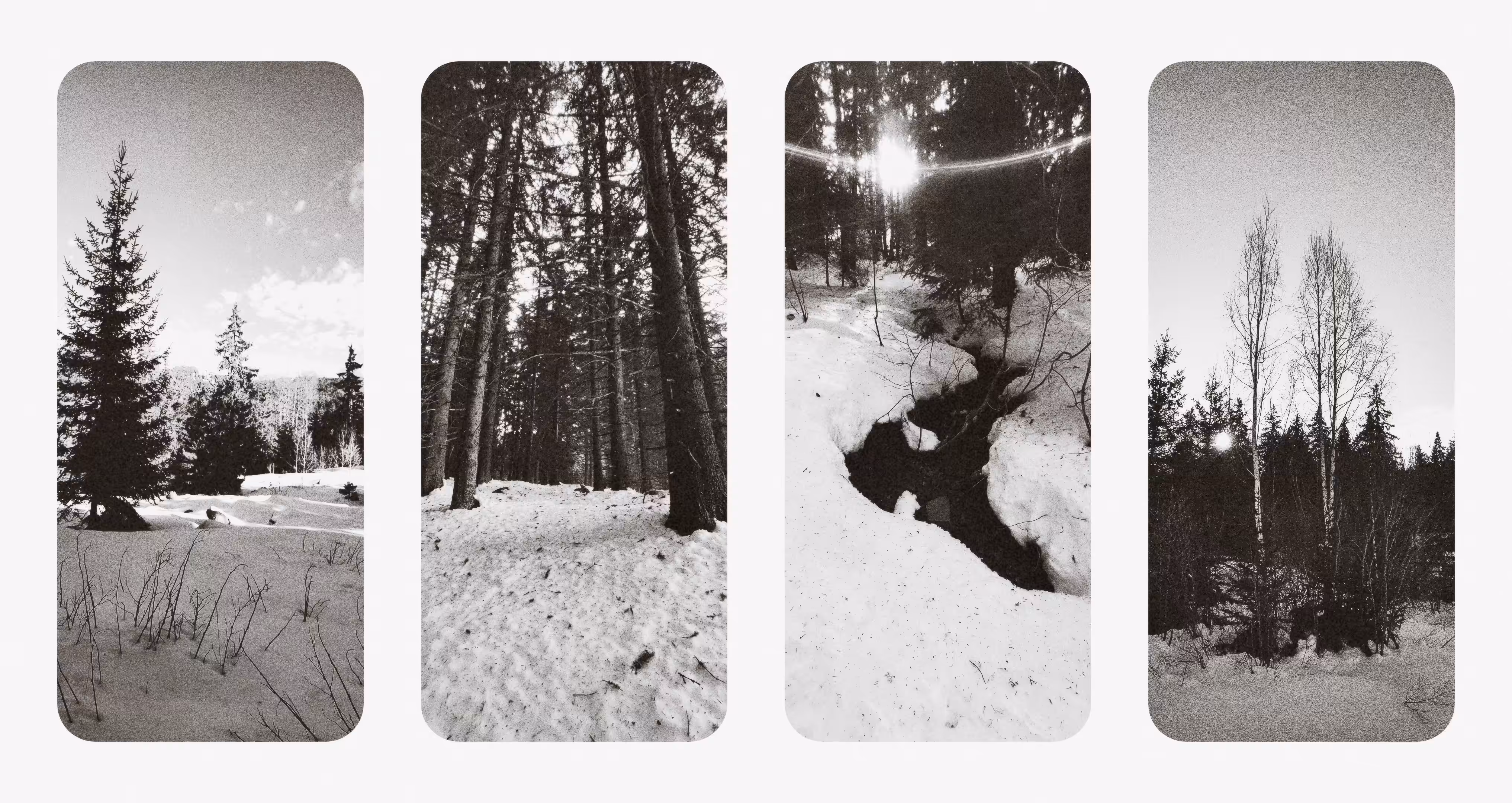 Frames of Winter Nostalgy