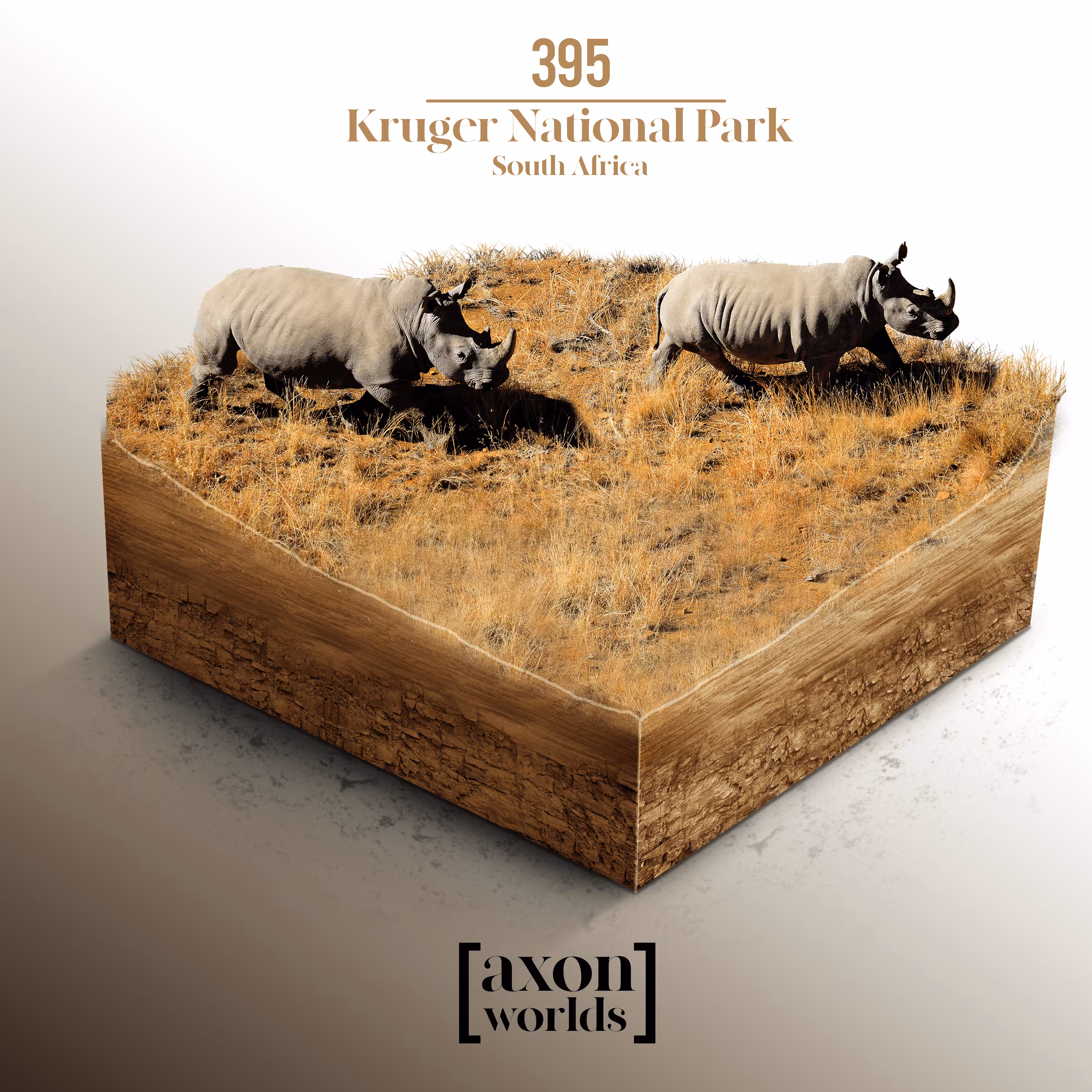 AXON WORLD | 395 | KRUGER NATIONAL PARK | SOUTH AFRICA | MICRO WORLD