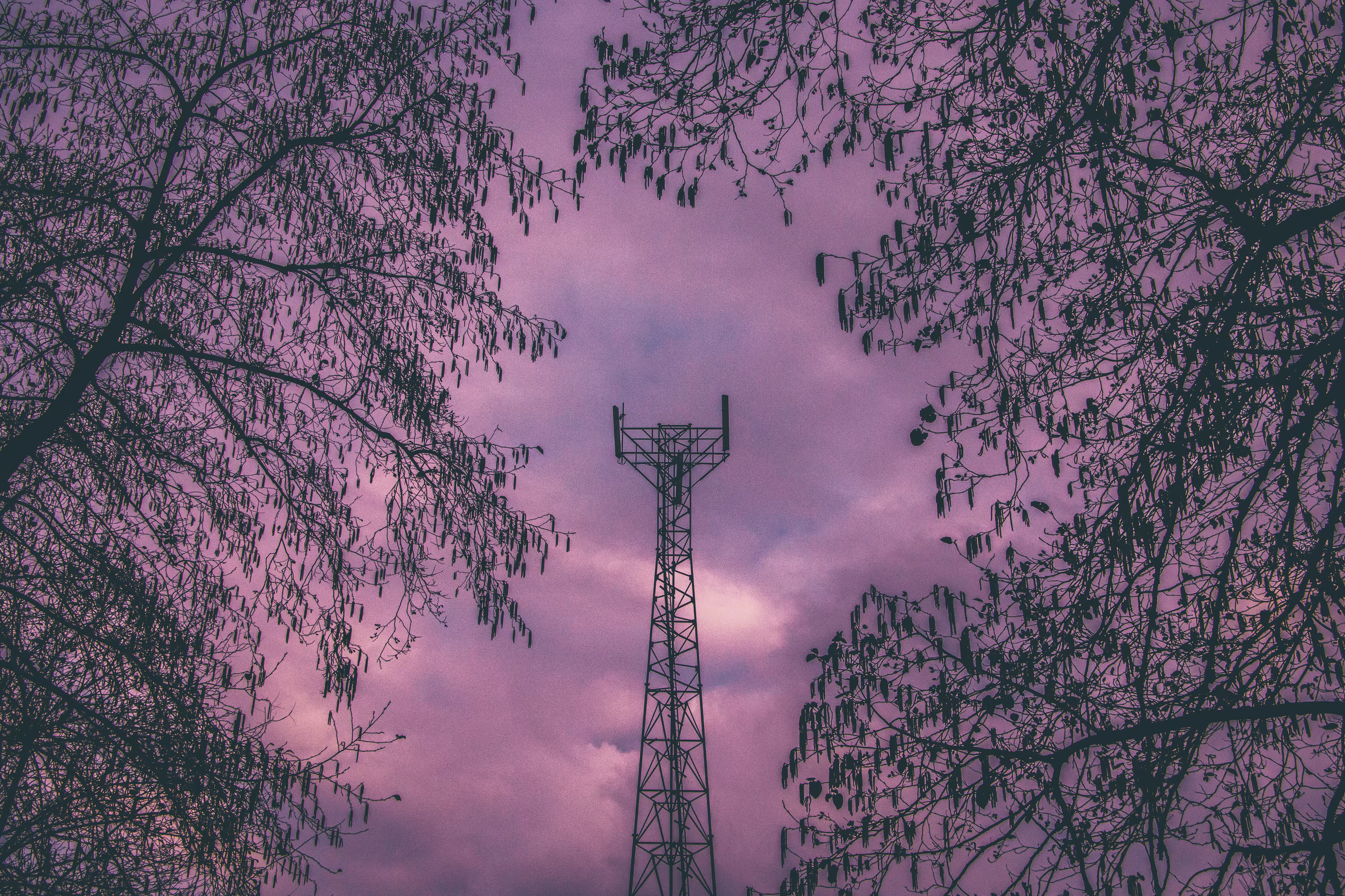 "Tower"