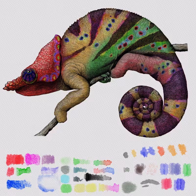 Colorful Cameleon #24