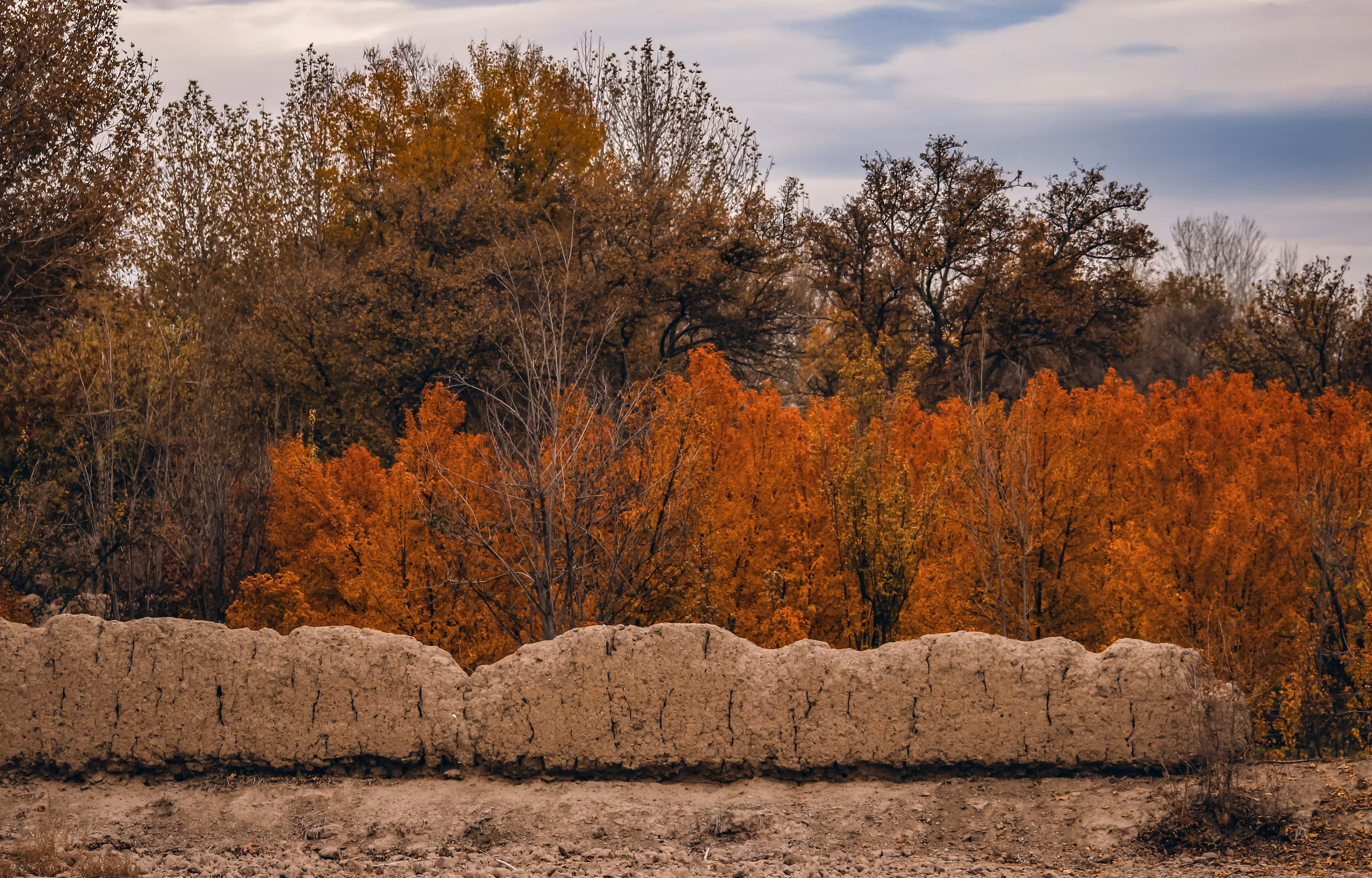 Autumn Train