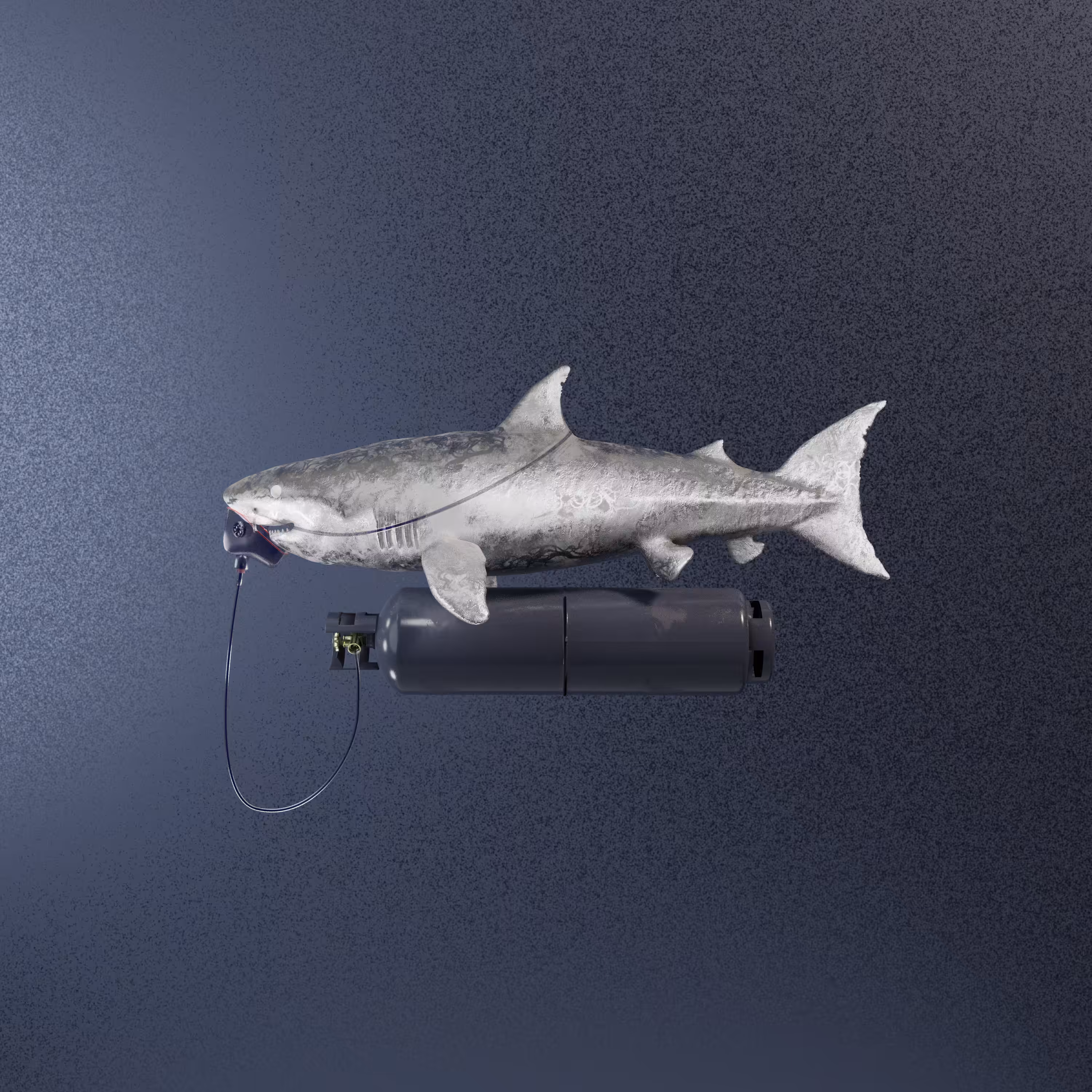 Non Fungible Shark [MATERIALISM]
