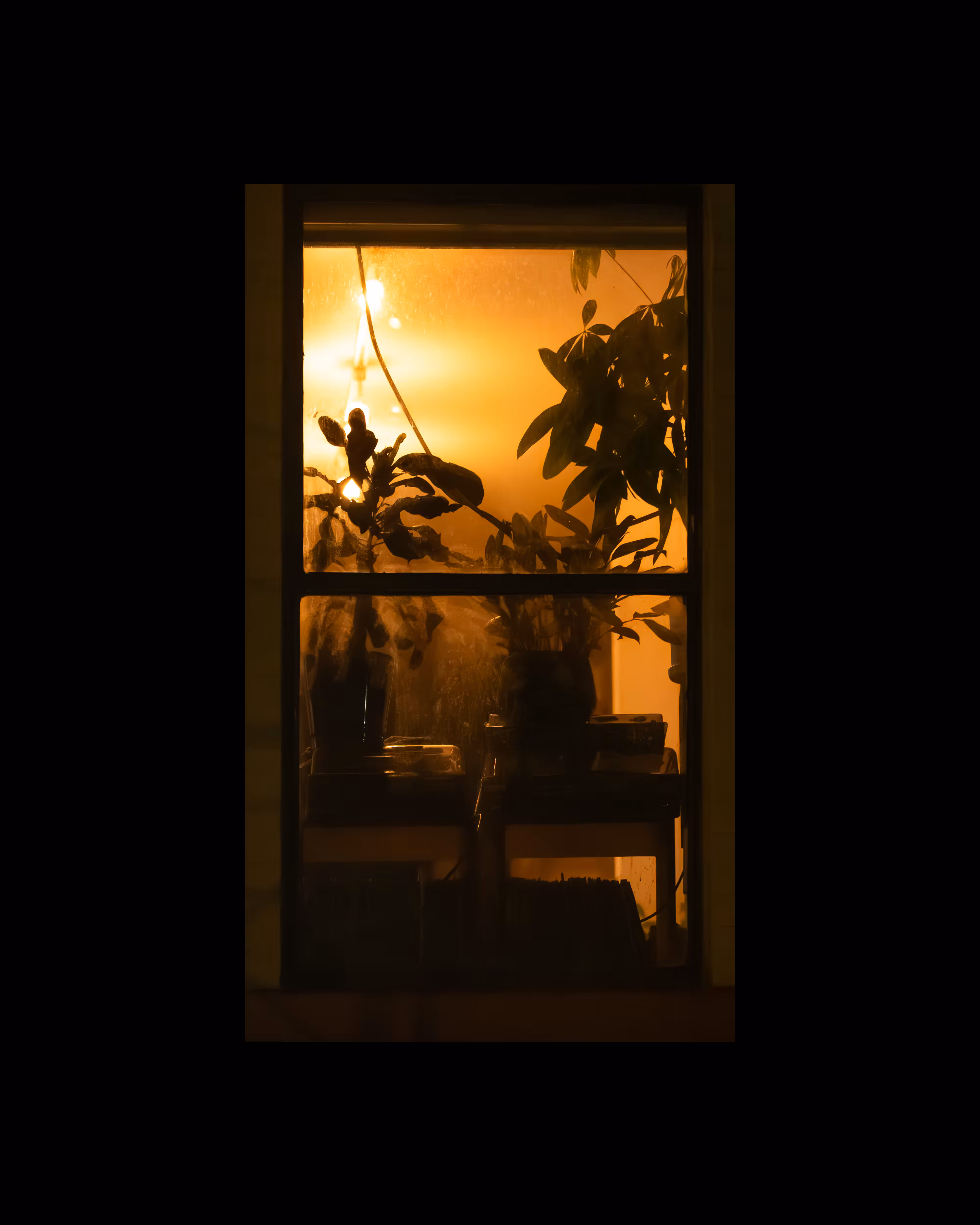 WINDOW 948