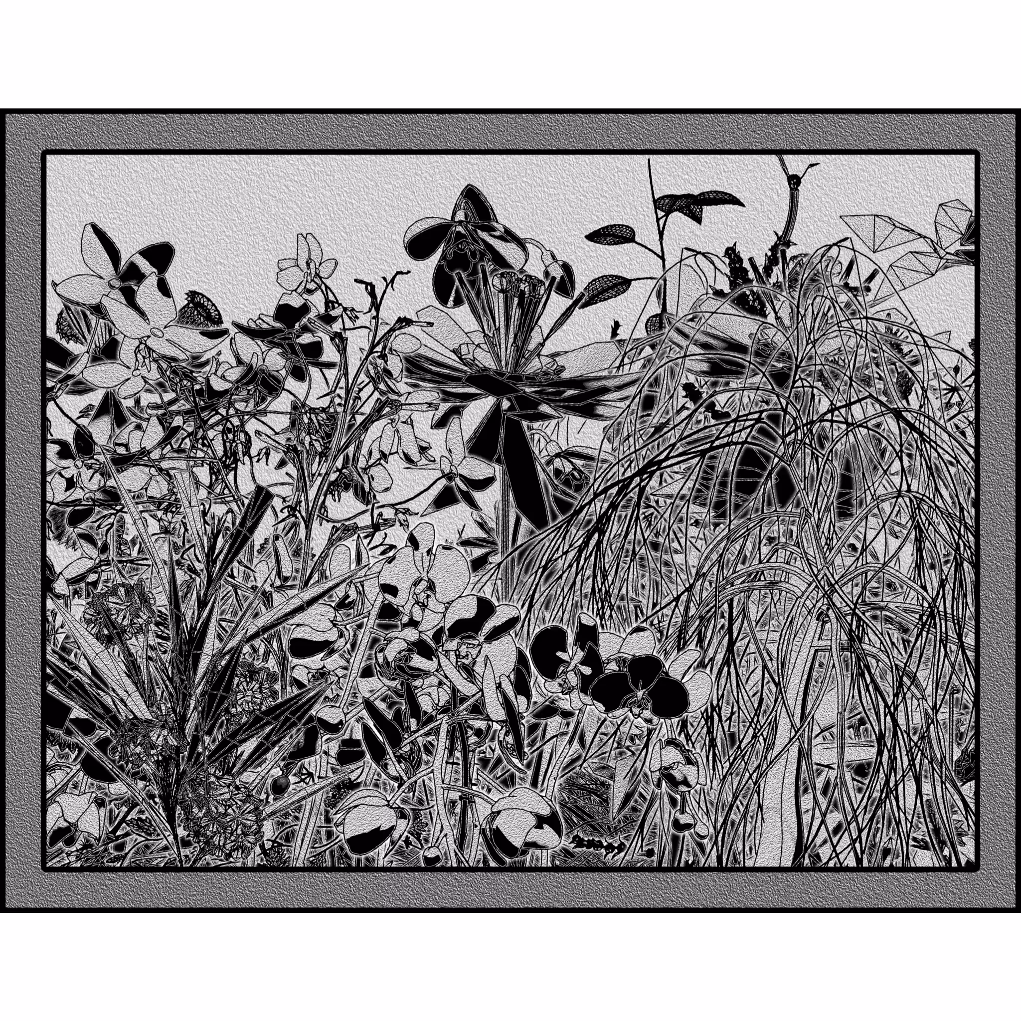 Flower View #64
