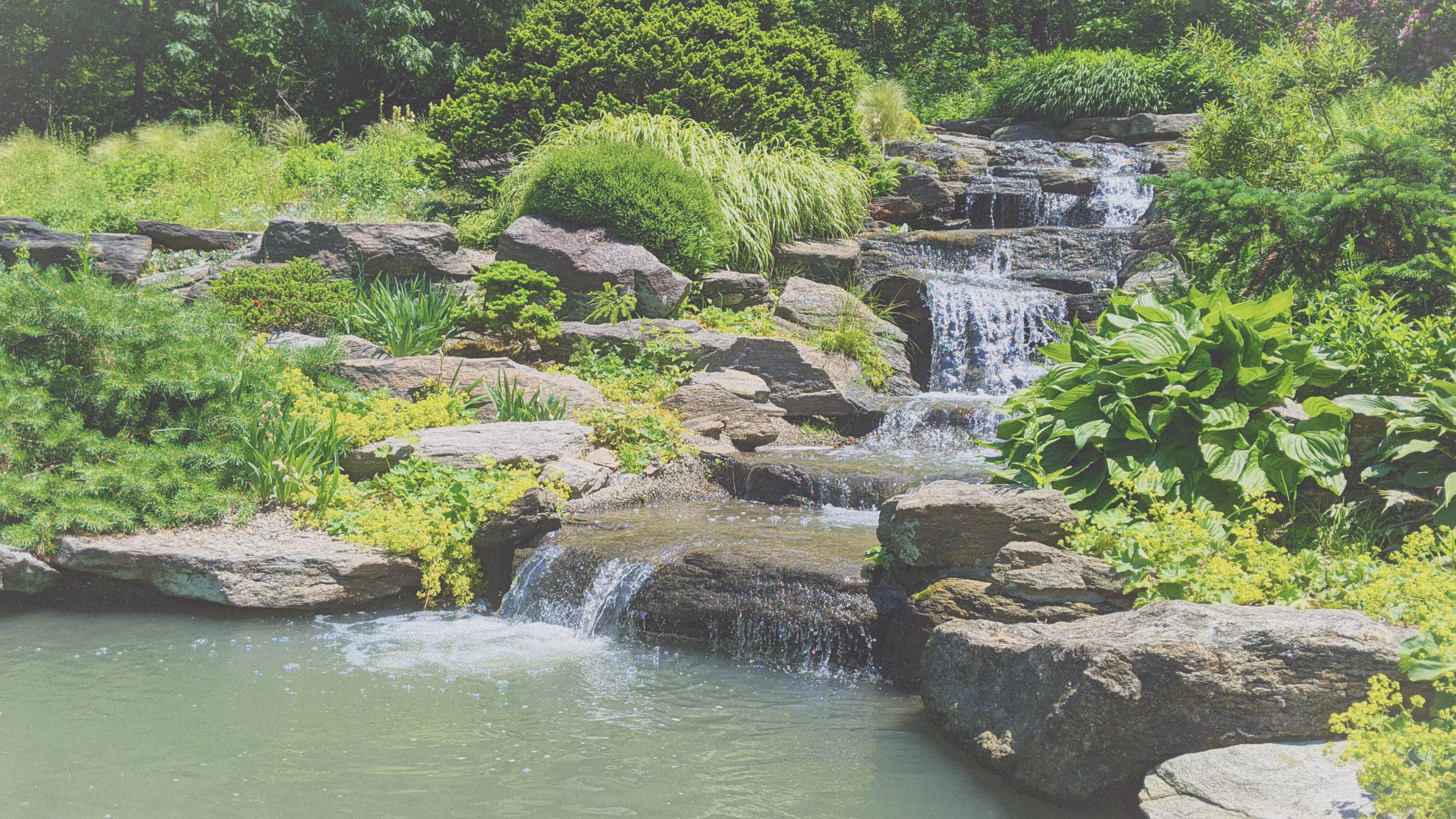 Stream