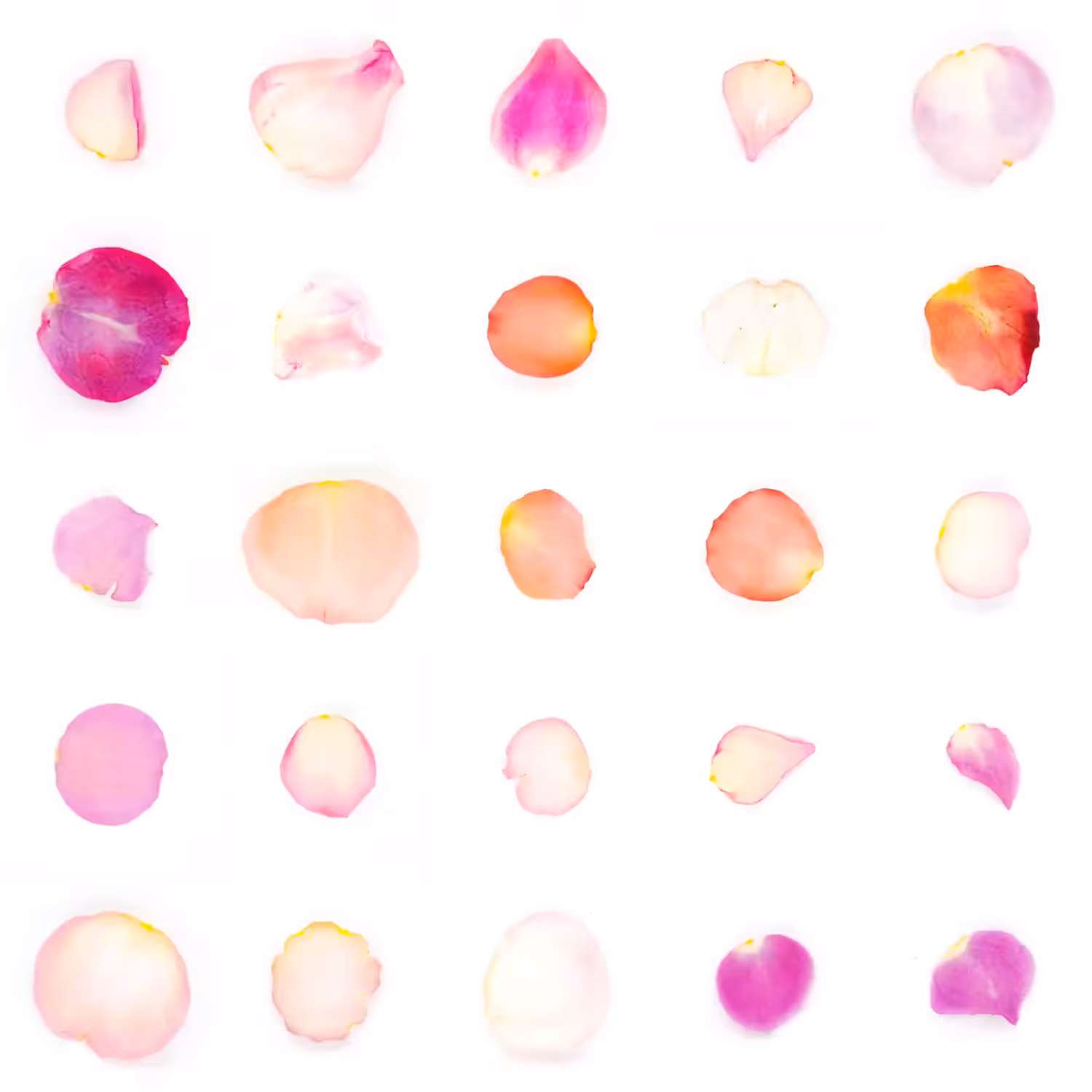 Infinite Petals 5x5#21872