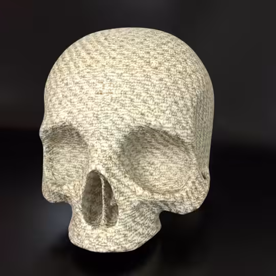 SkullZ #87