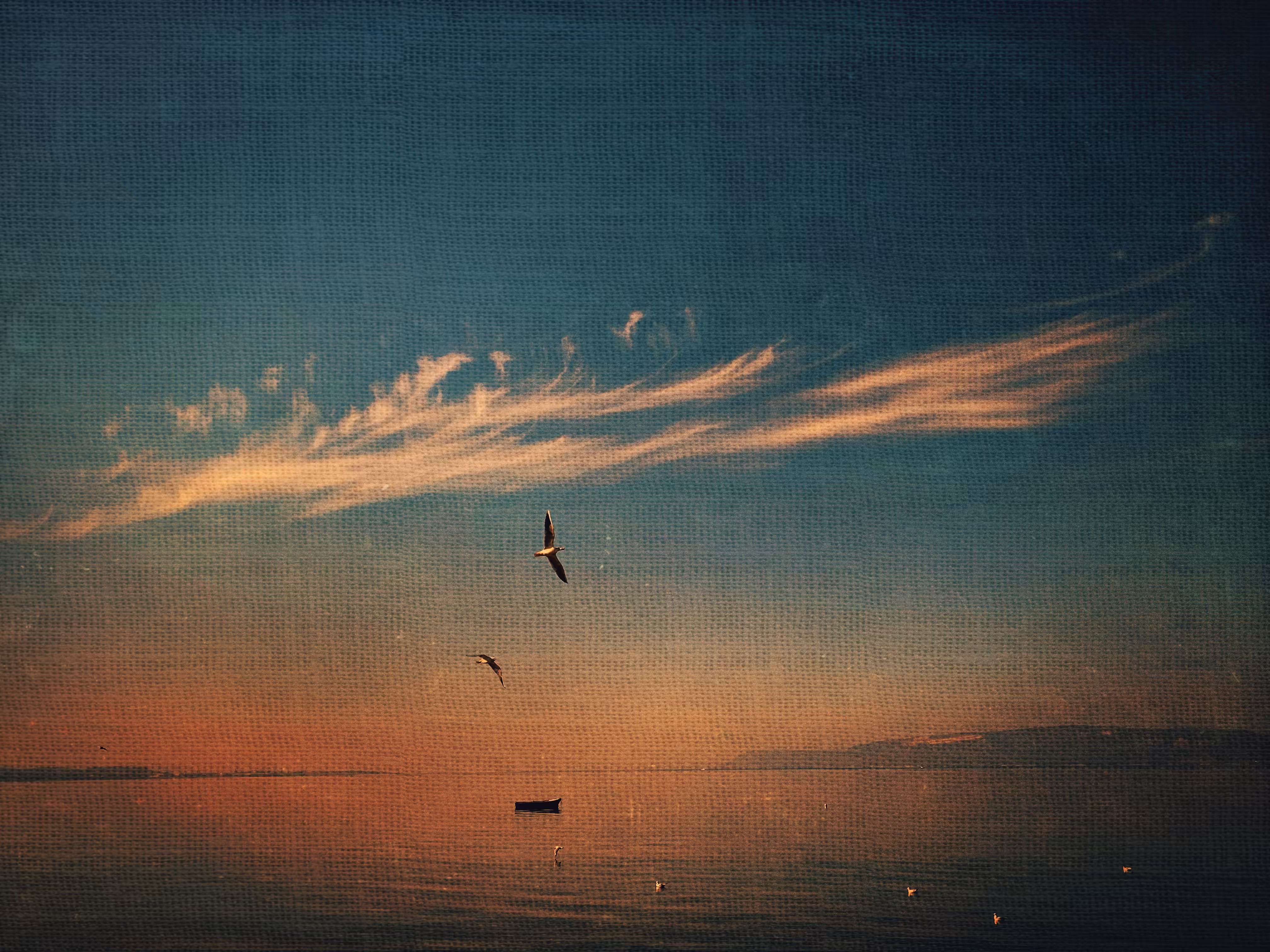Somewhere under the same sky.