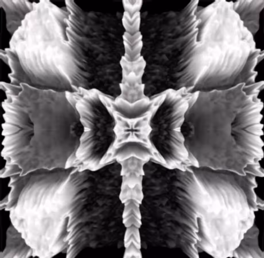 Symmetry I