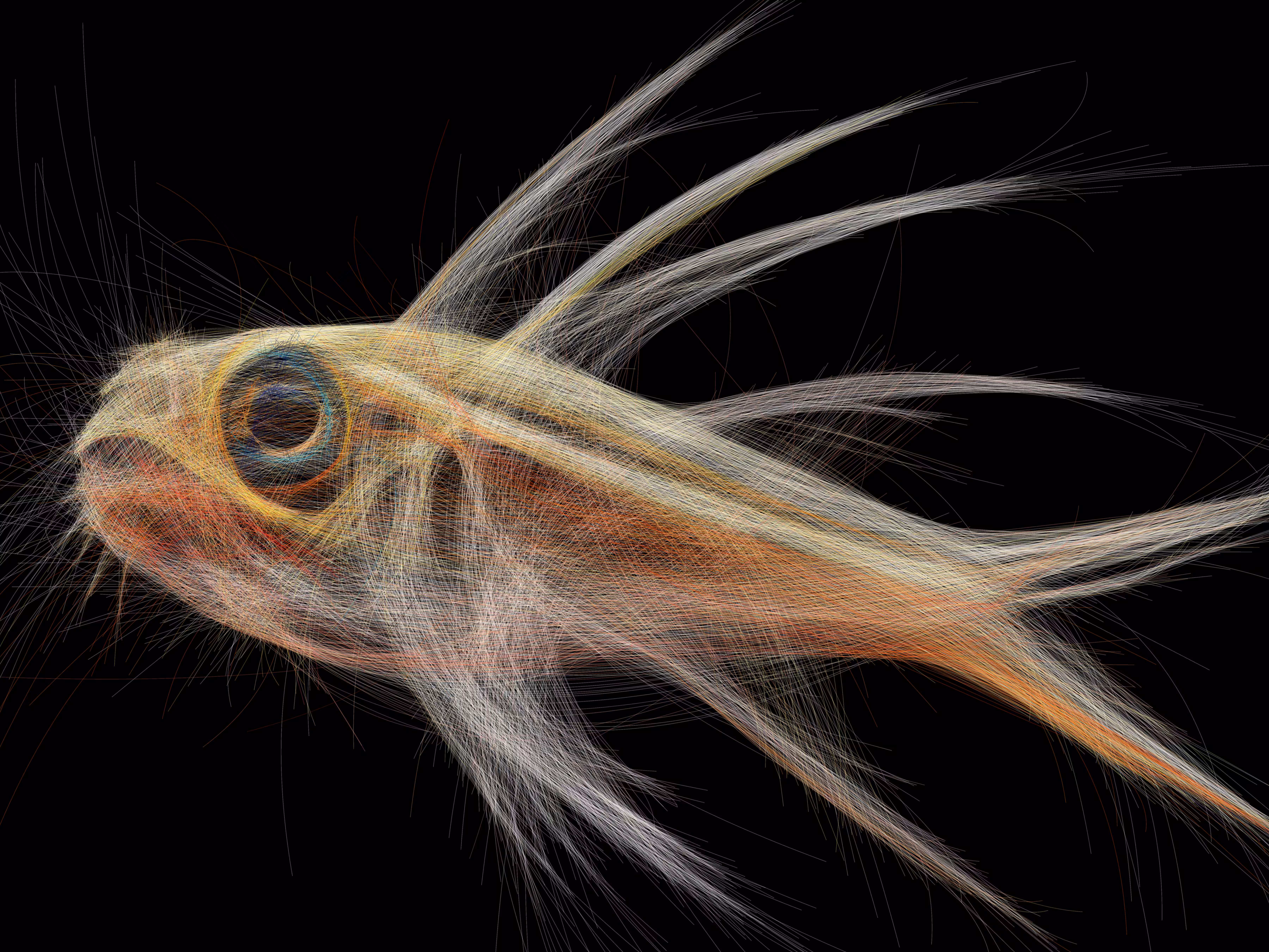 UNDERWATER: Underwater 247