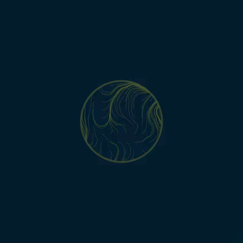 Life Rings VOL.2 #12