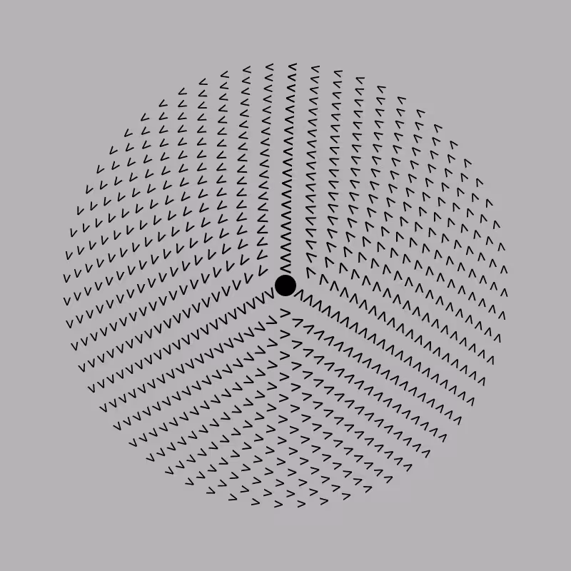 Dizzy Wheel #13