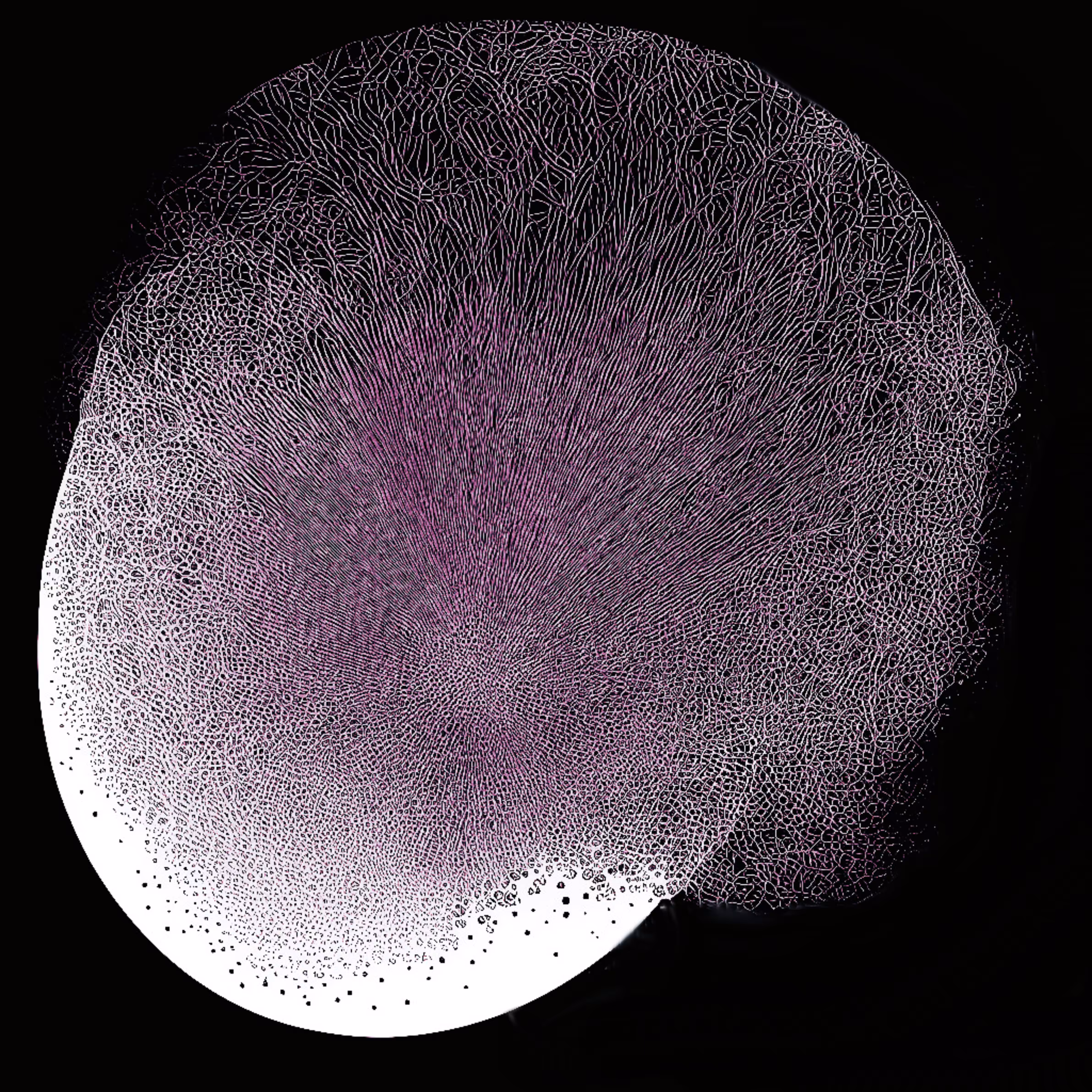 code:Form Planet
