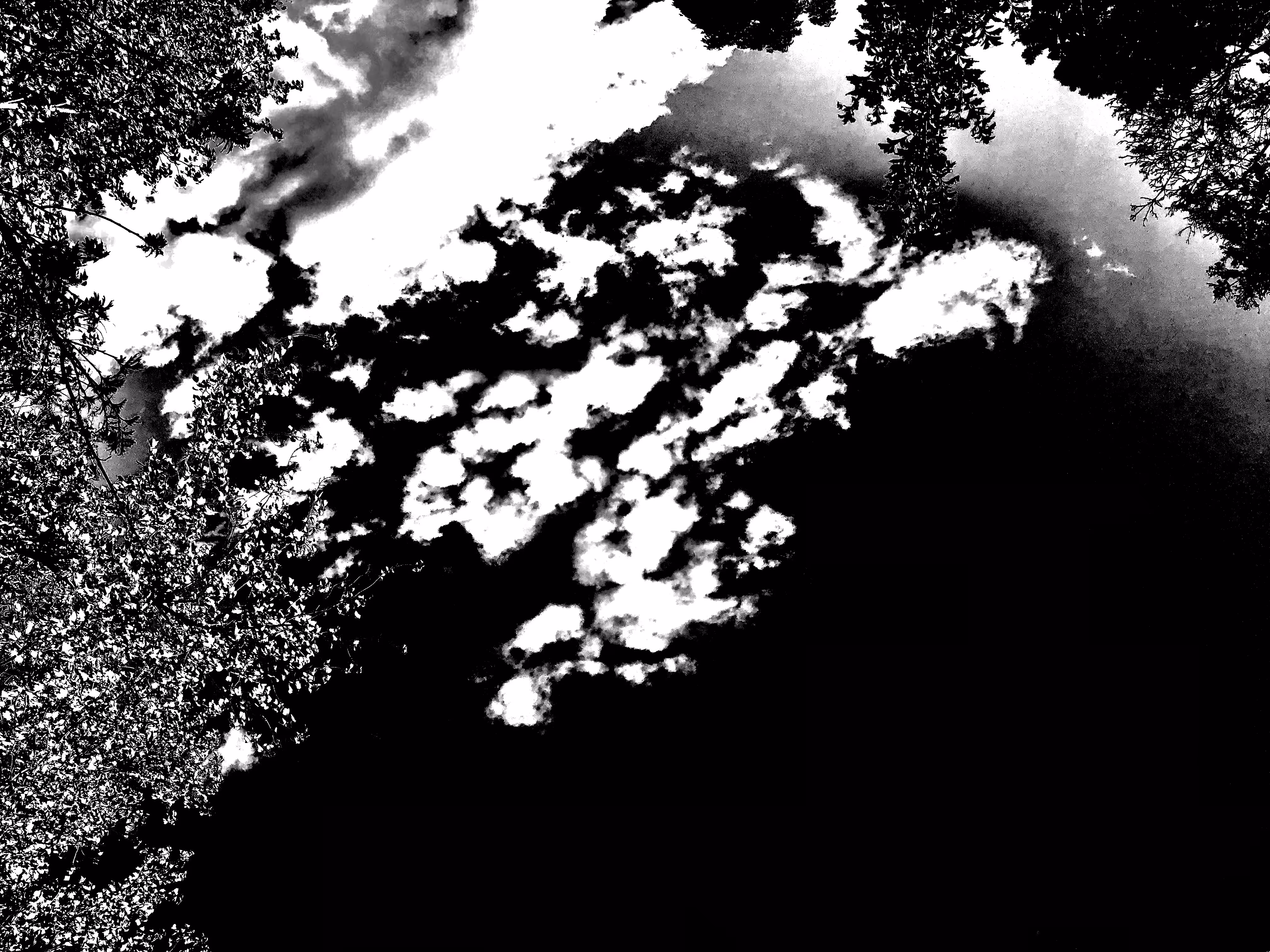 Birth of a Dragon (1): THE PROPHECY
