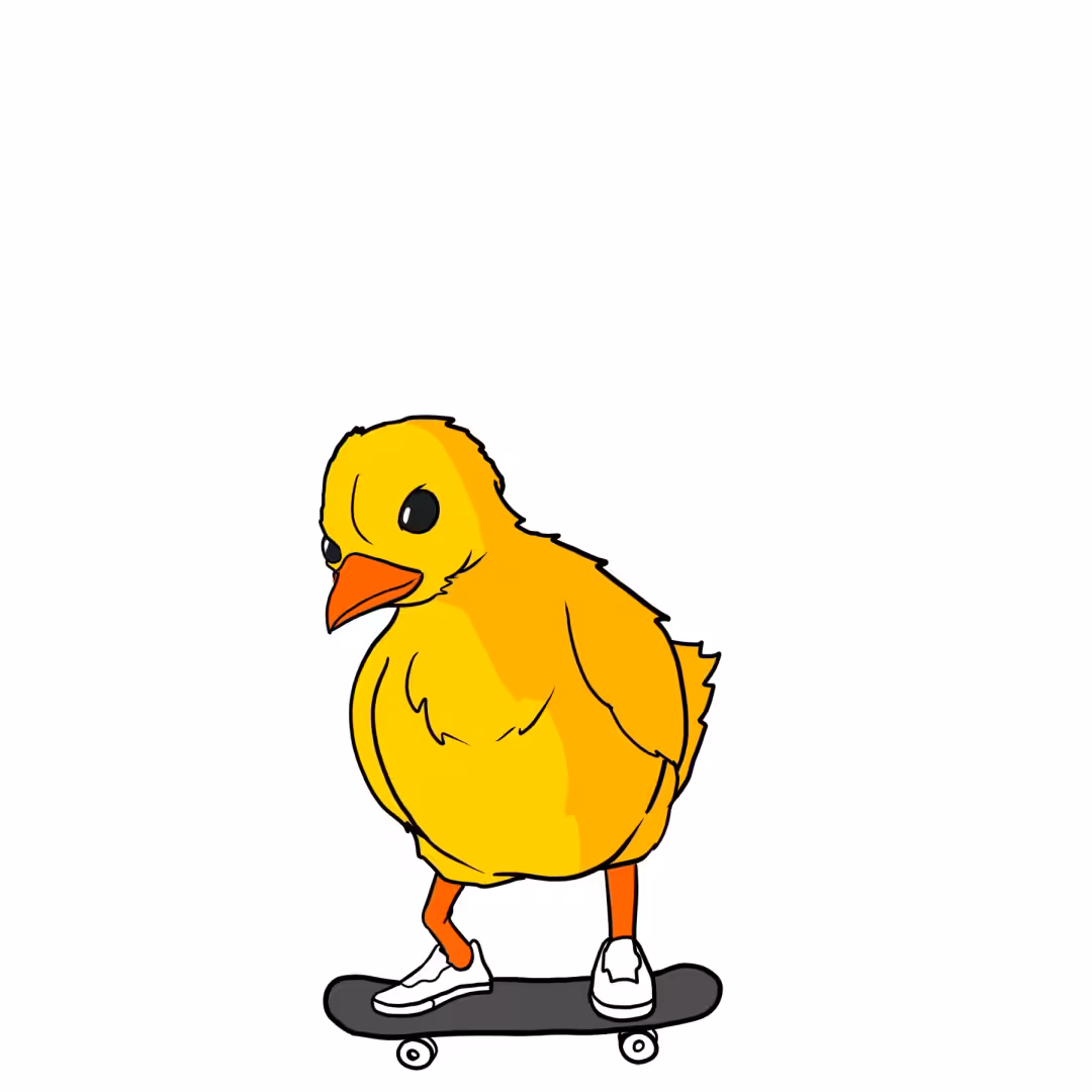 chick flip