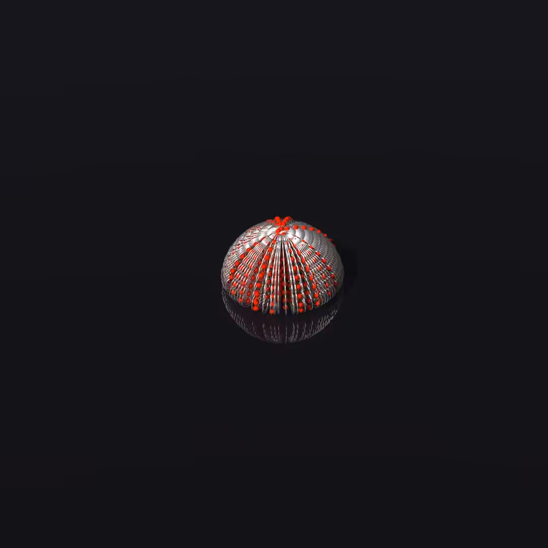 Unfurl V1 - Mechanical Spiral Bloom