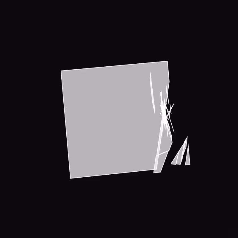 Fracture #199