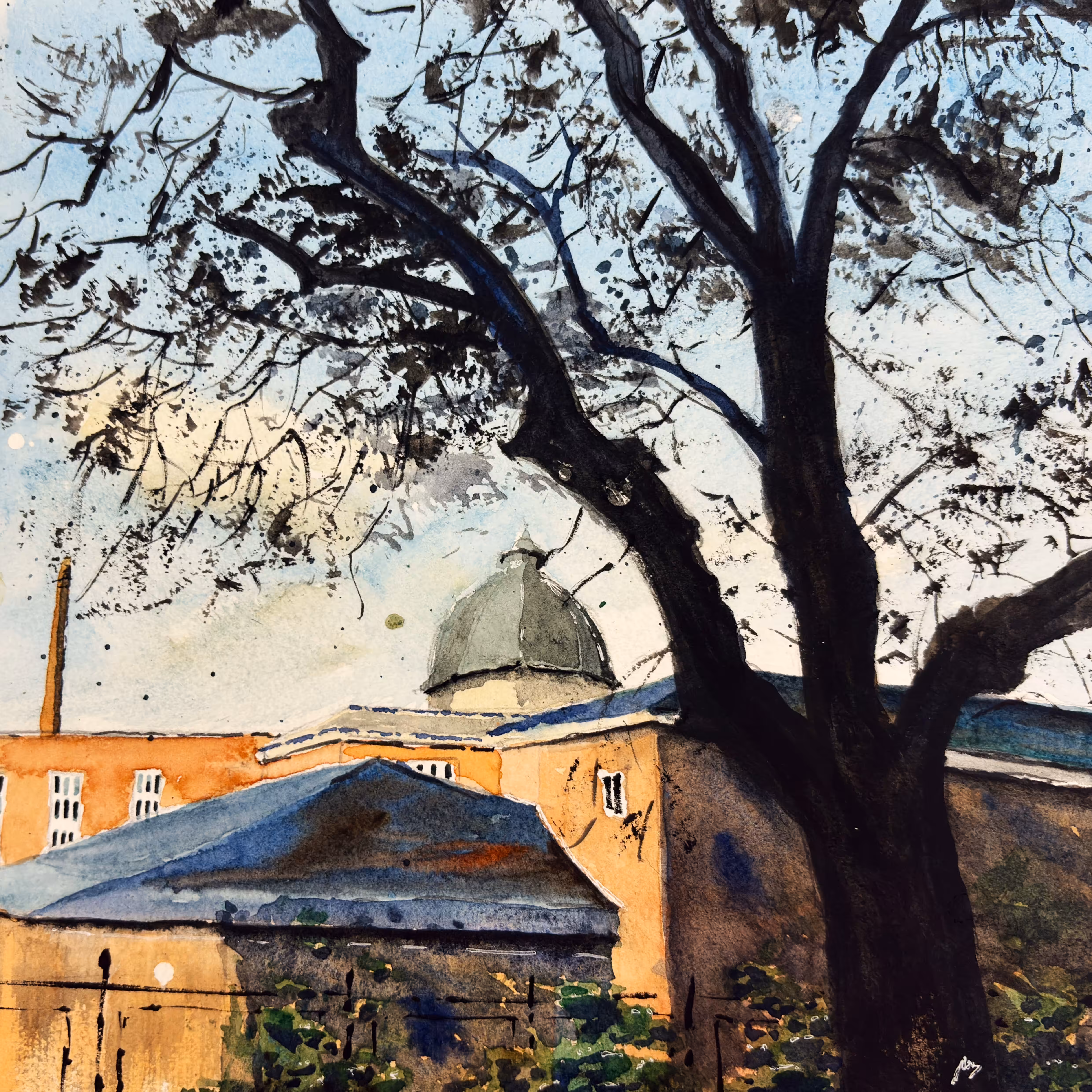 USK Collection: Natural Sciences Museum