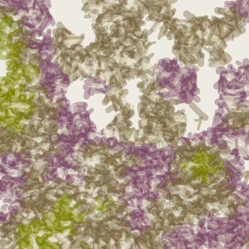 Petri 1500 #292