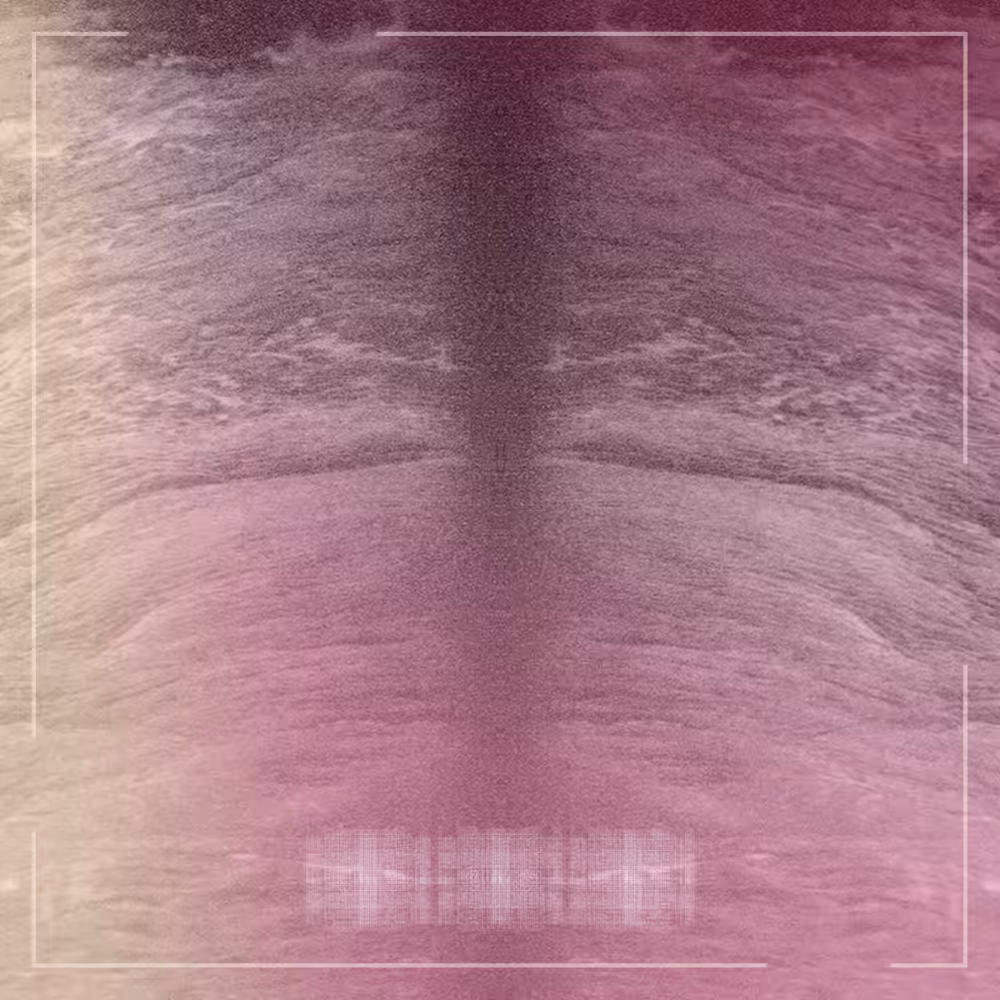 #64