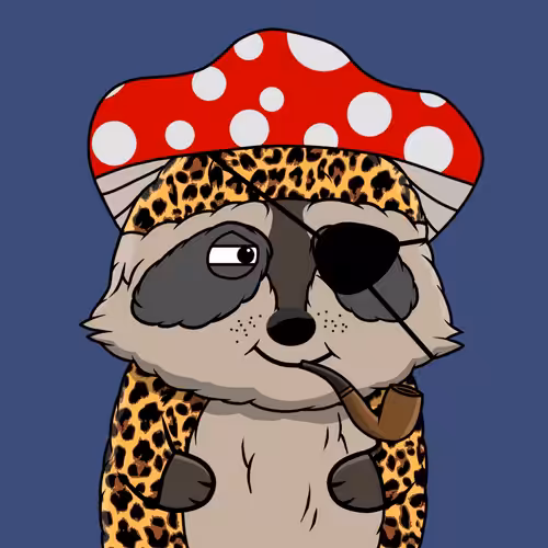 Raccoon #110