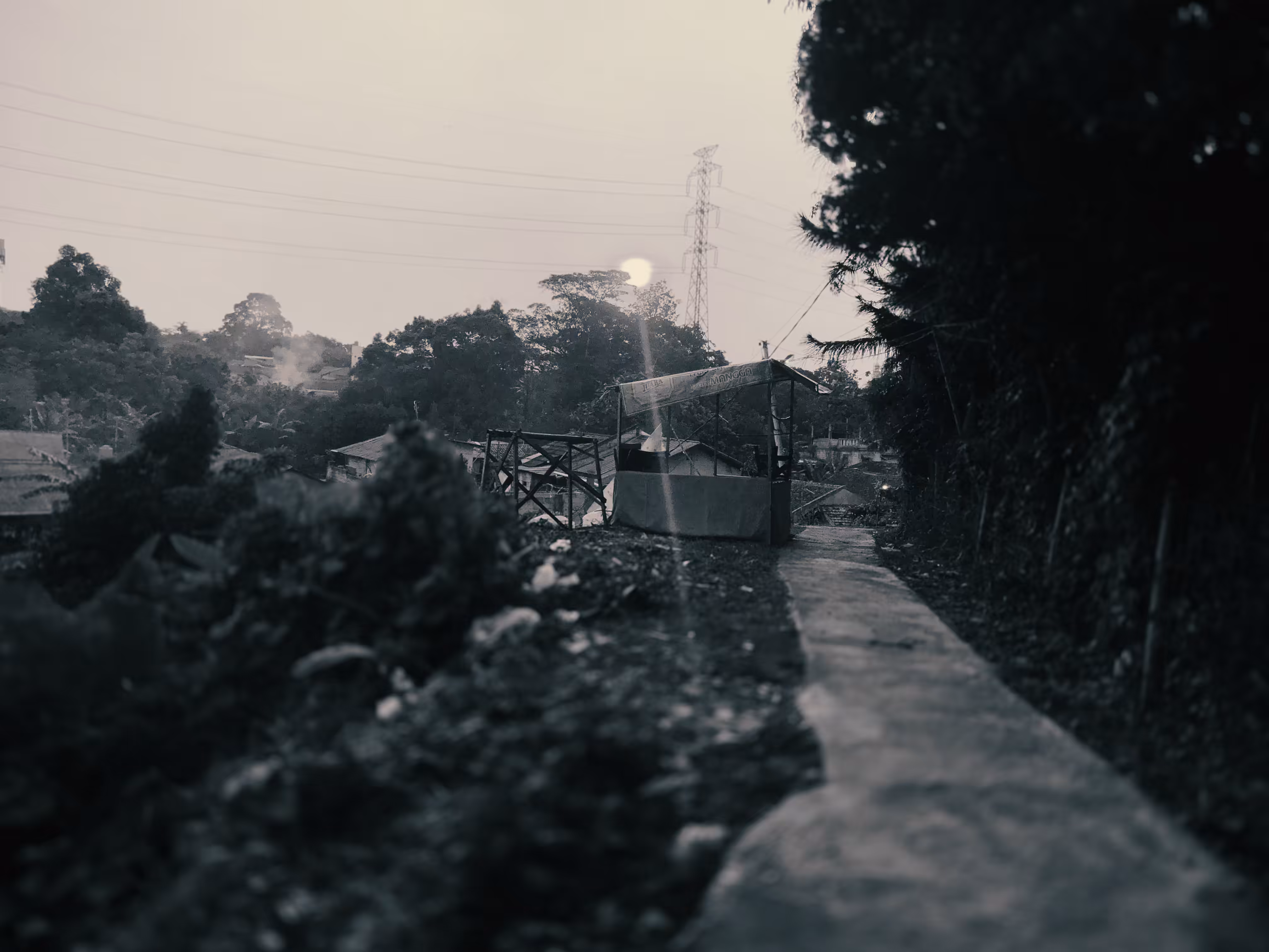 Sunrise of Day