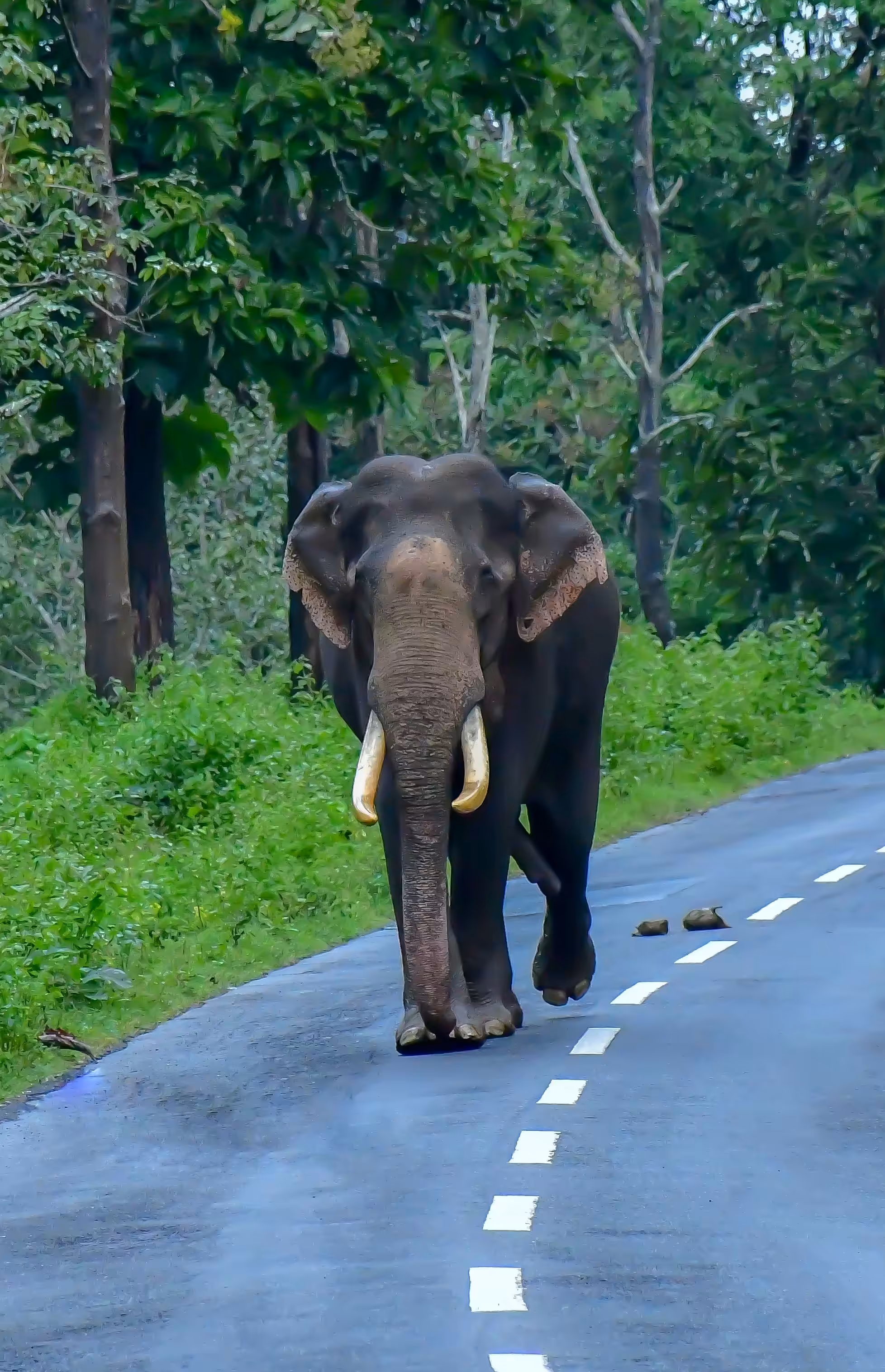 MUTHANGA WILDLIFE SANCTURY #5