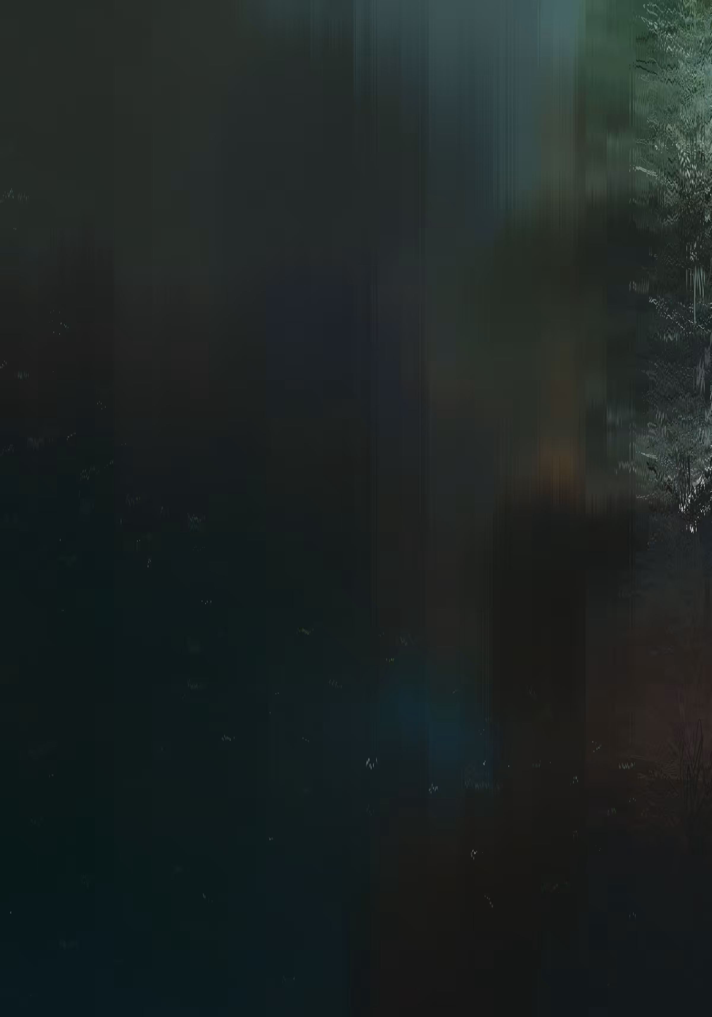 The Medium | Giveaway Edition