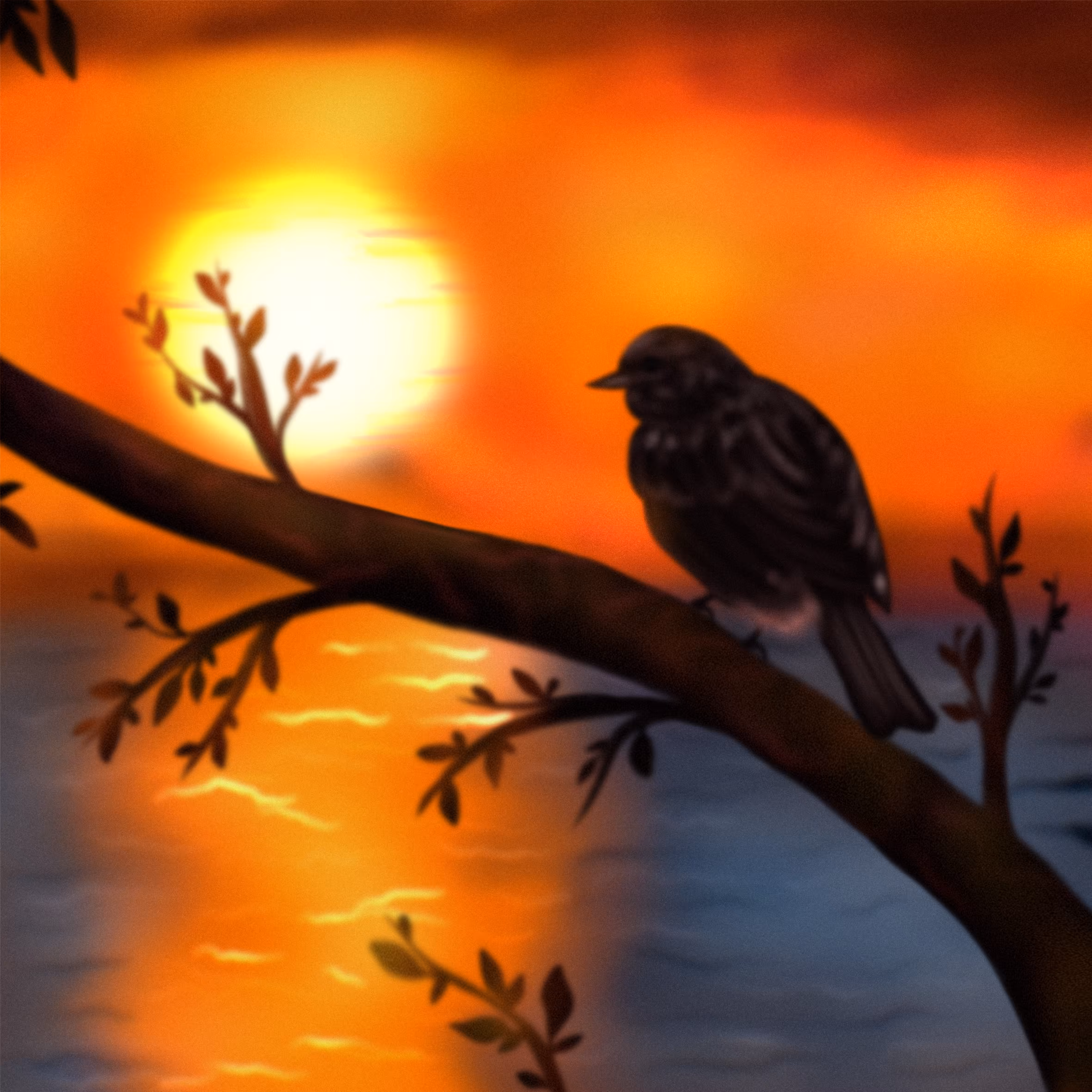 The captivating beauty of the sunset