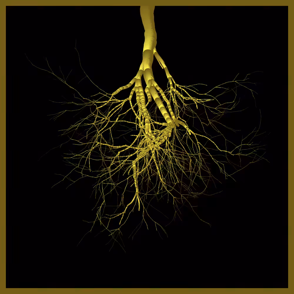 Arbres suspendus #4