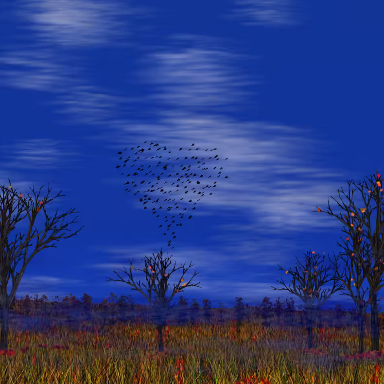 Starlings #49