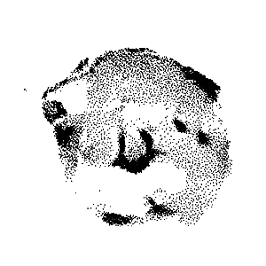 Hoxgen: Machinemoji 008