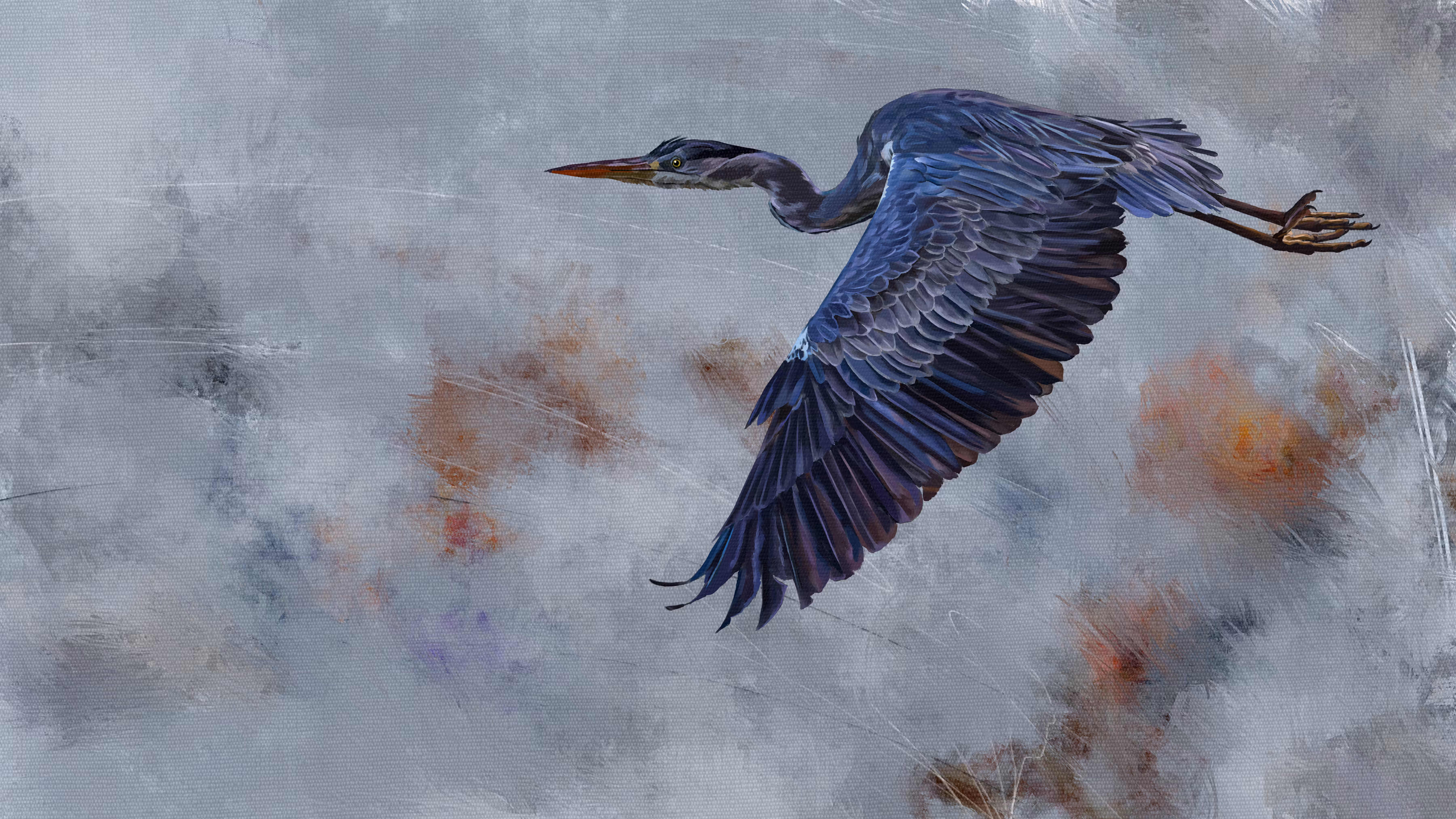 Blue Heron in Flight