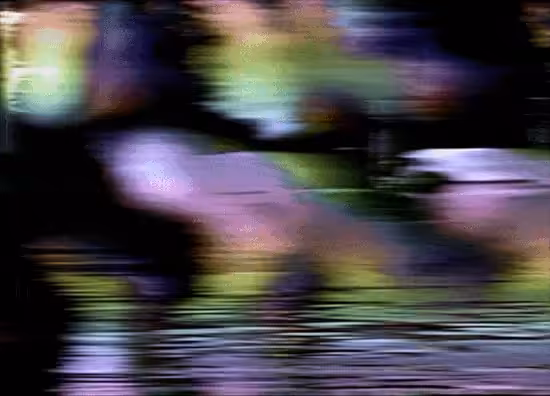 video_home_system
