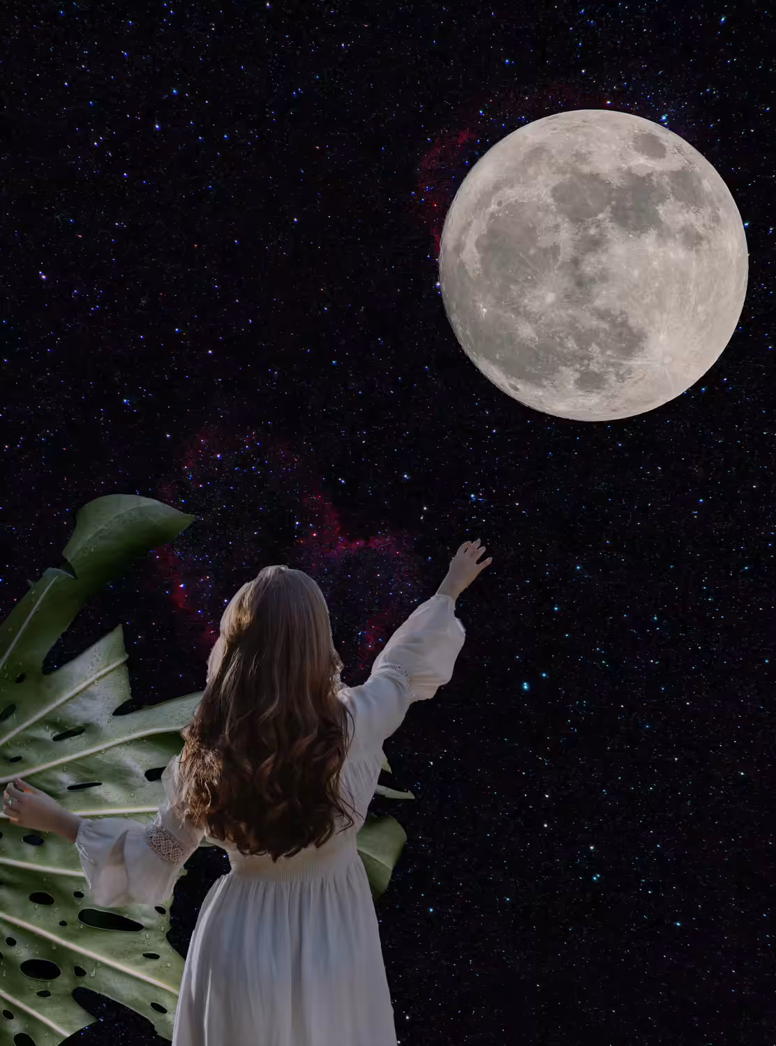 The Moon Lullaby