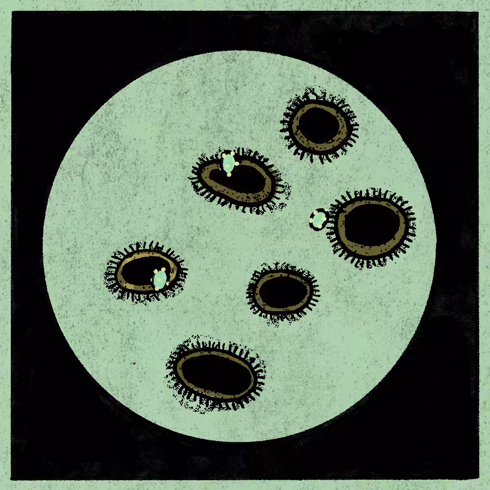 Microbes #11