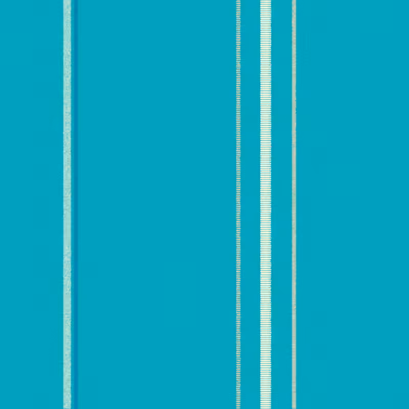 Stripes #48