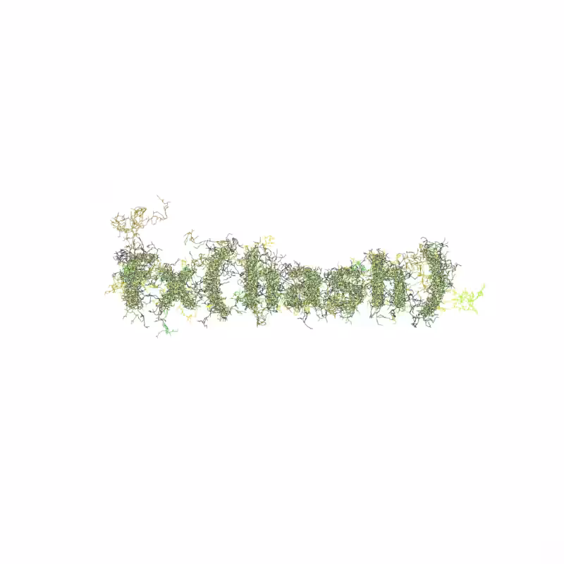 FXHASH Logo with Features #485