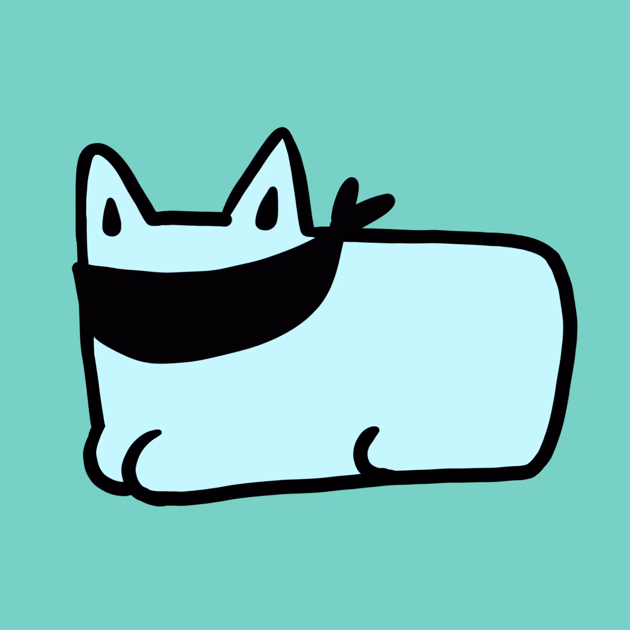 Sunny cat 46
