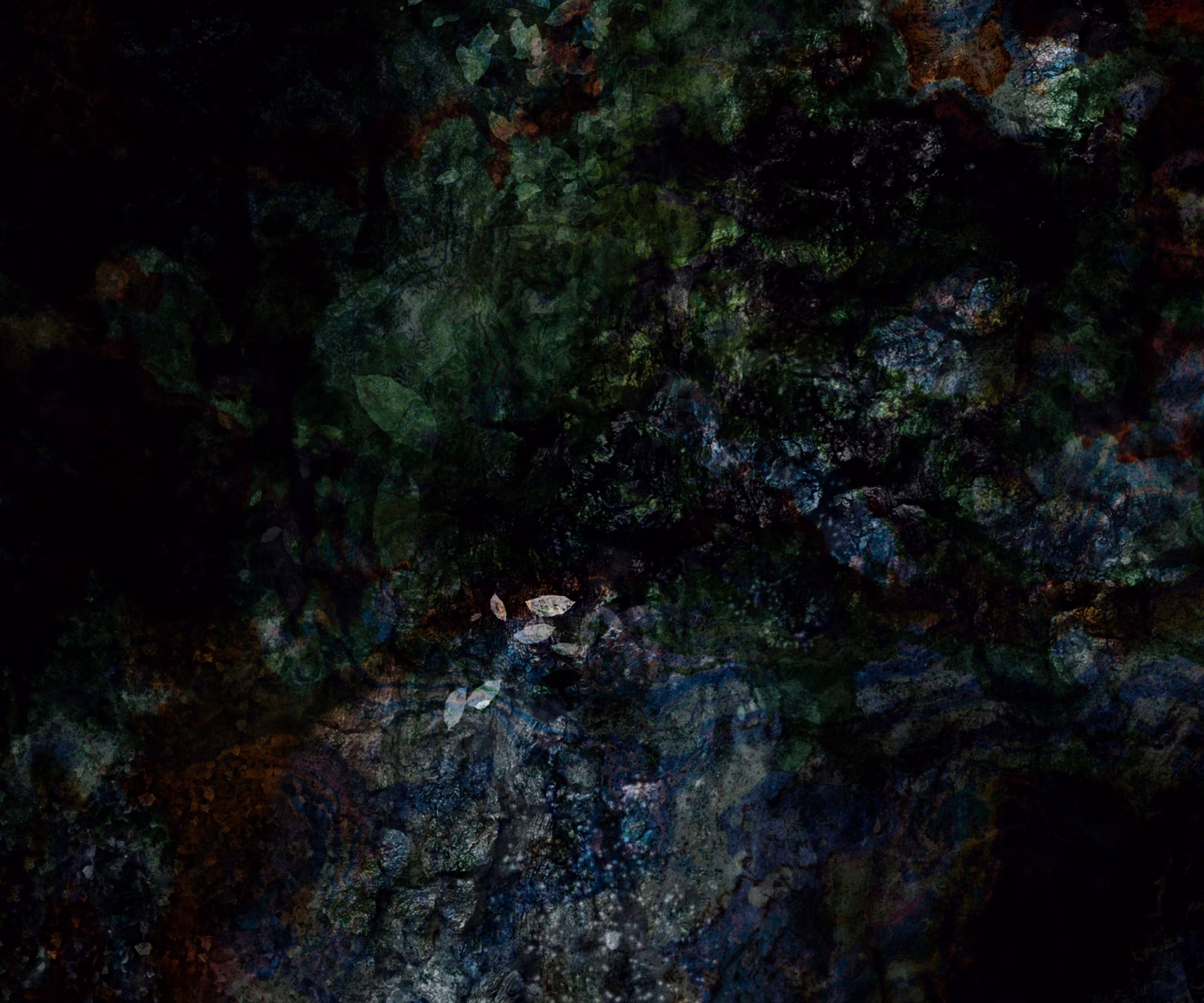Moss on Rocks